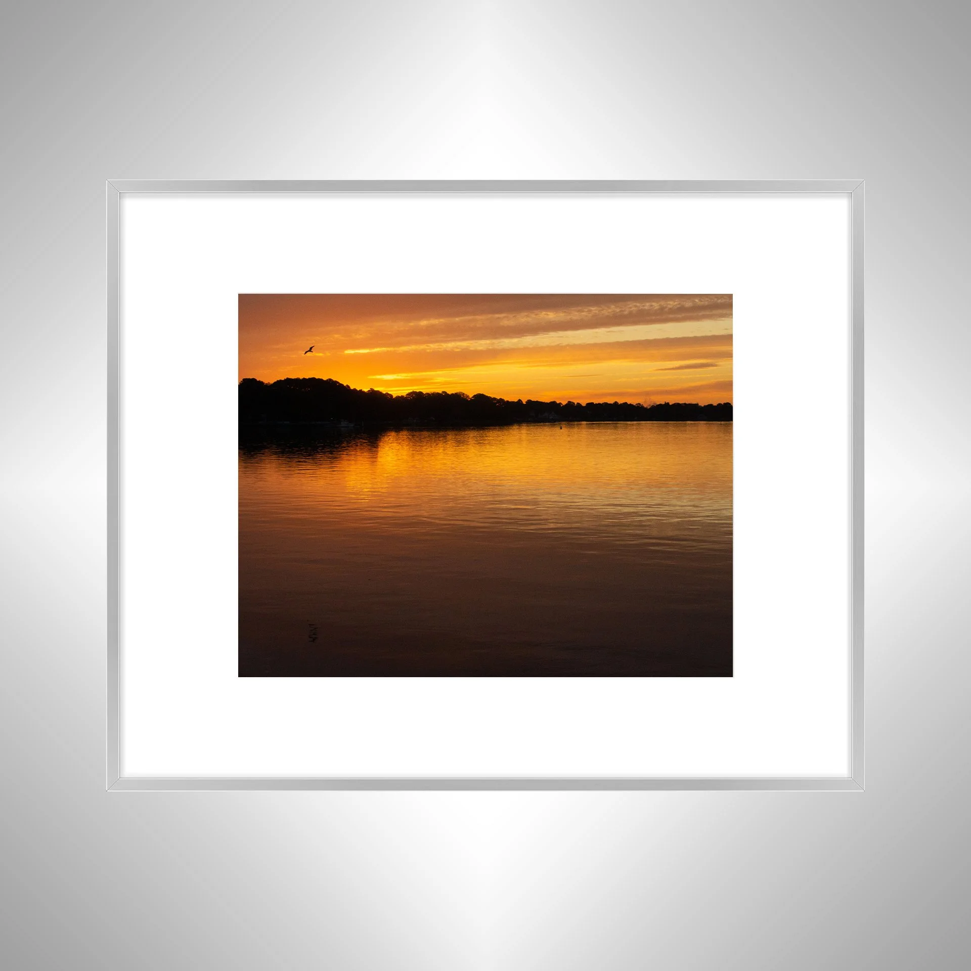 1:10 Seagull at Sunrise on the Lafayette River- Silver w: Border.jpg