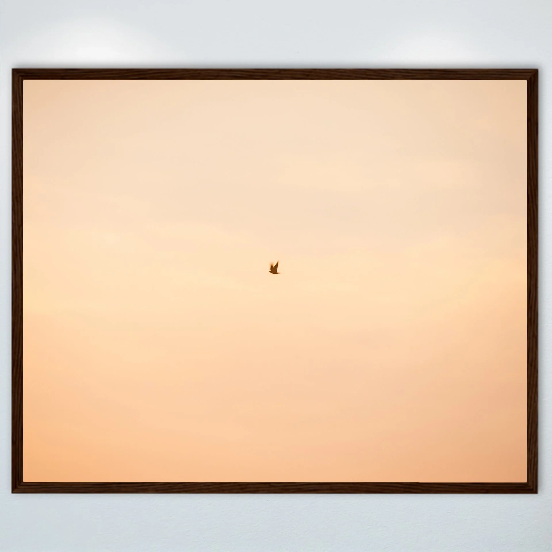 1:1 Slow Shutter Sunrise Seagull- Wood.jpg