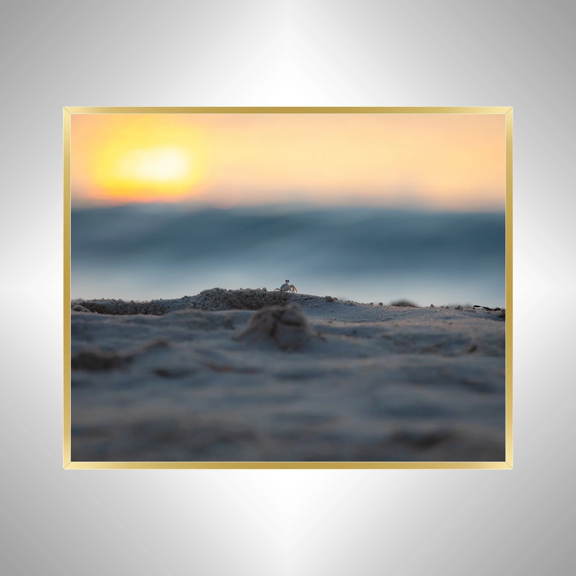 1:10 Ghost Crab Watching Wavebreak in Duck, NC- Gold.jpg