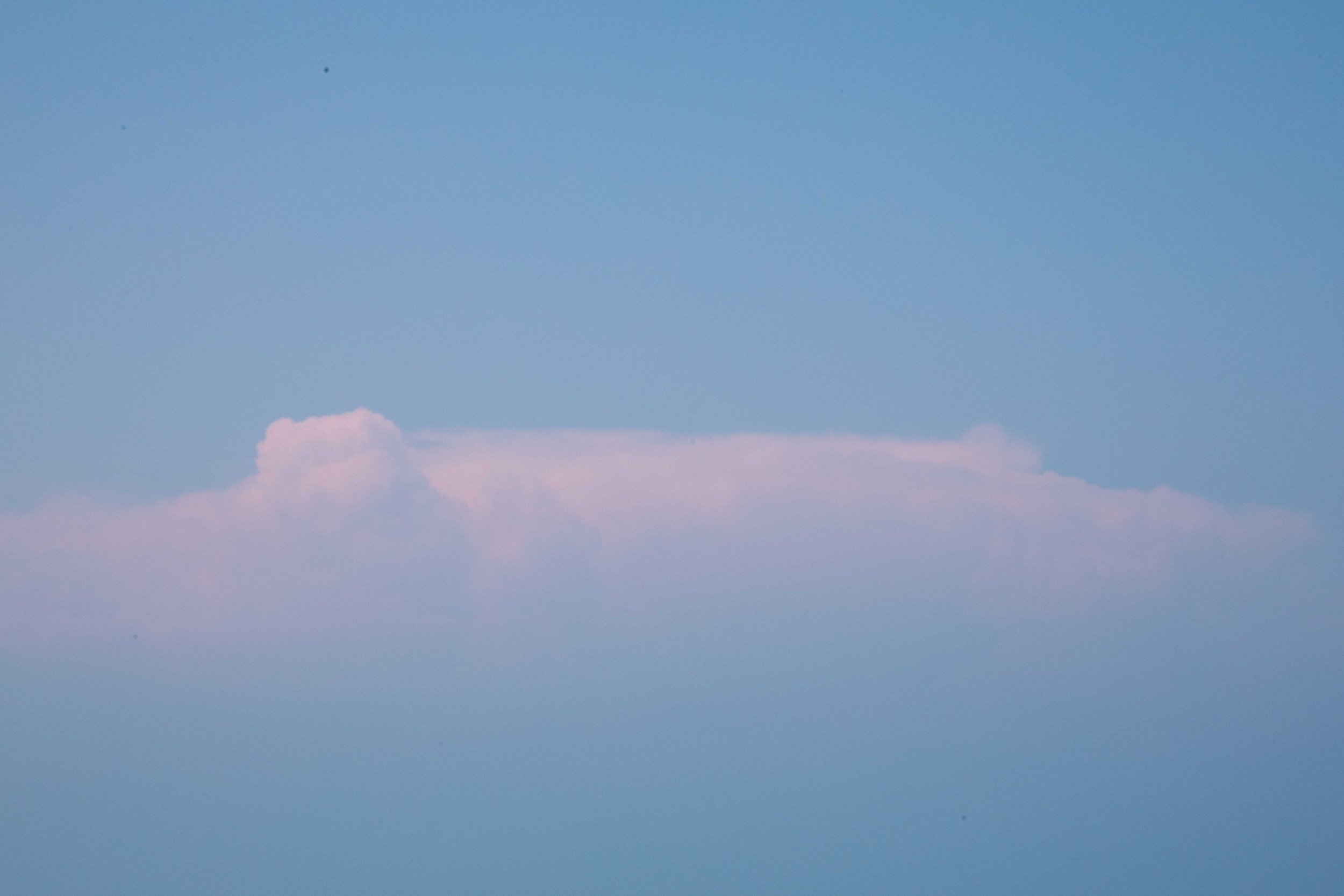 1:10 Pink Cloud in Carova.jpg