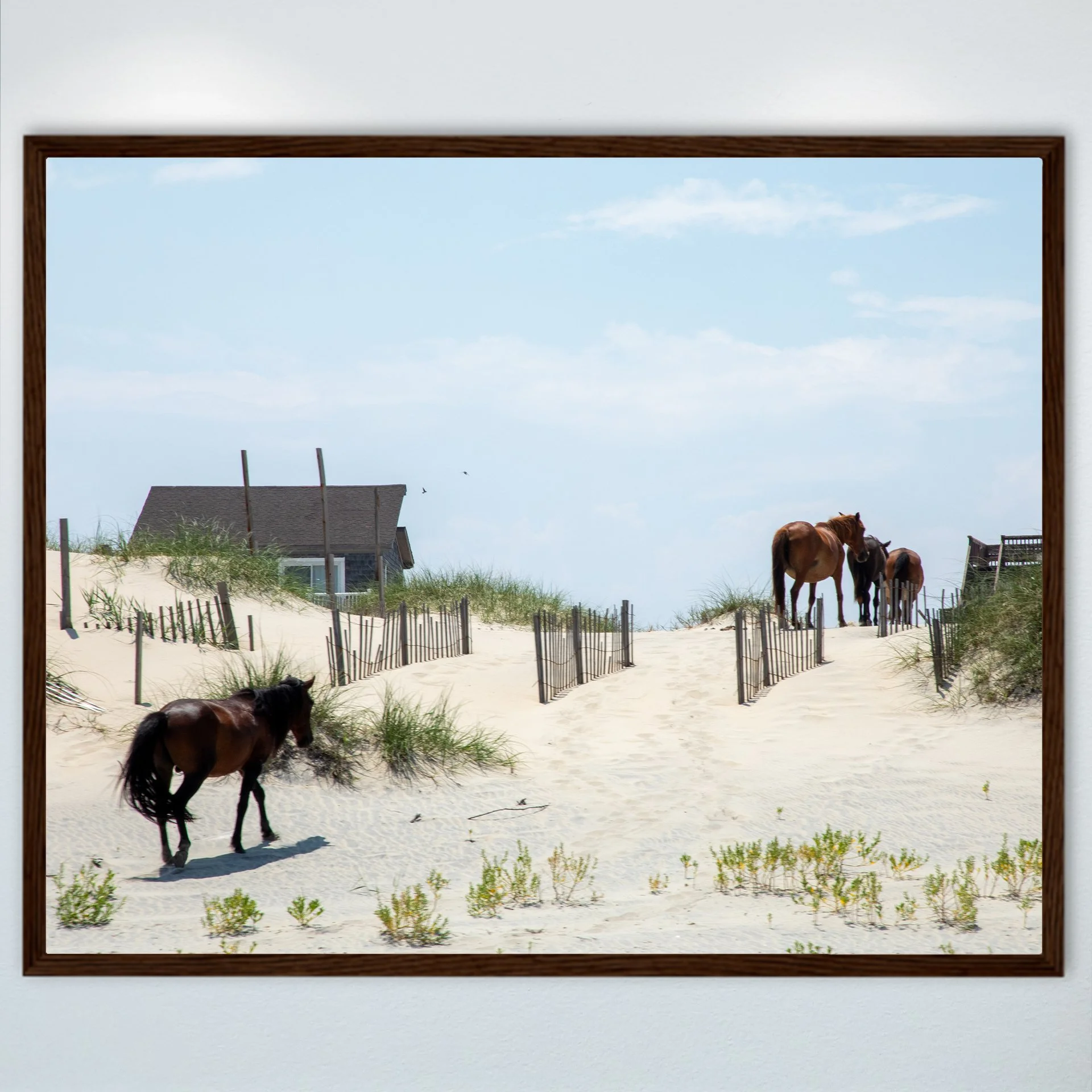 1:1 Wild Horses in OBX (Carova, NC)- Wood.jpg