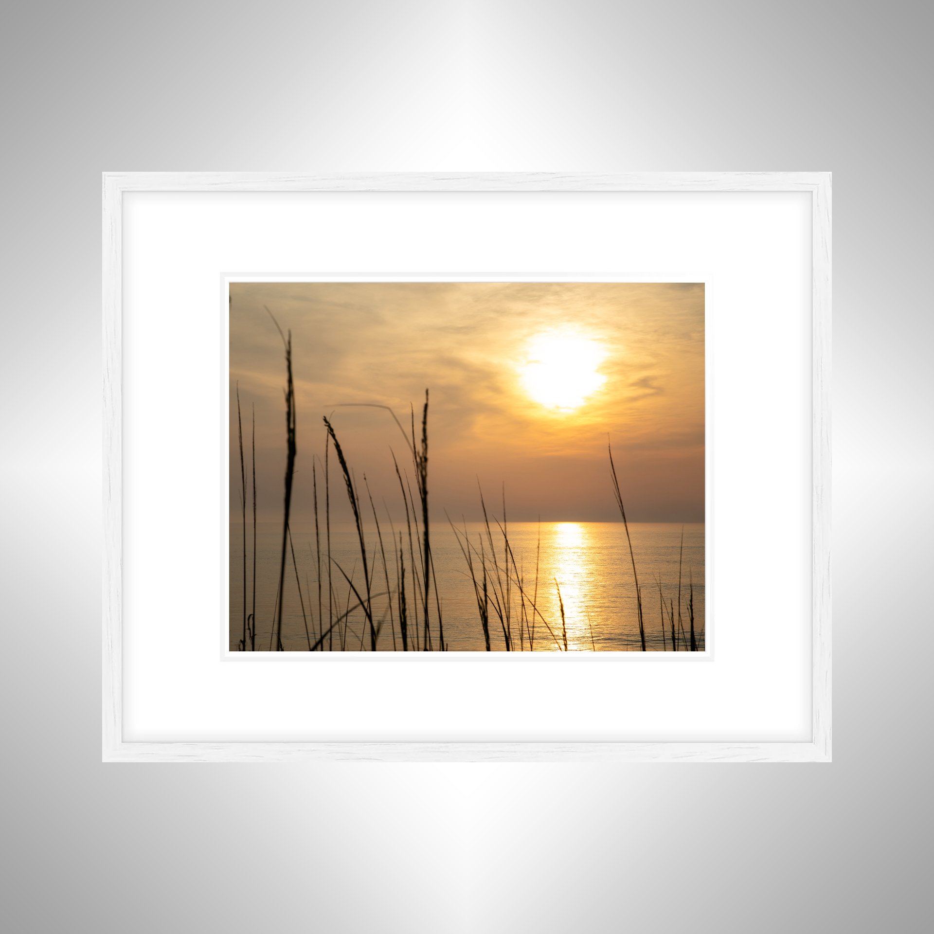 1:1 Sunrise Reflection thru Dunegrass- White w: Border.jpg