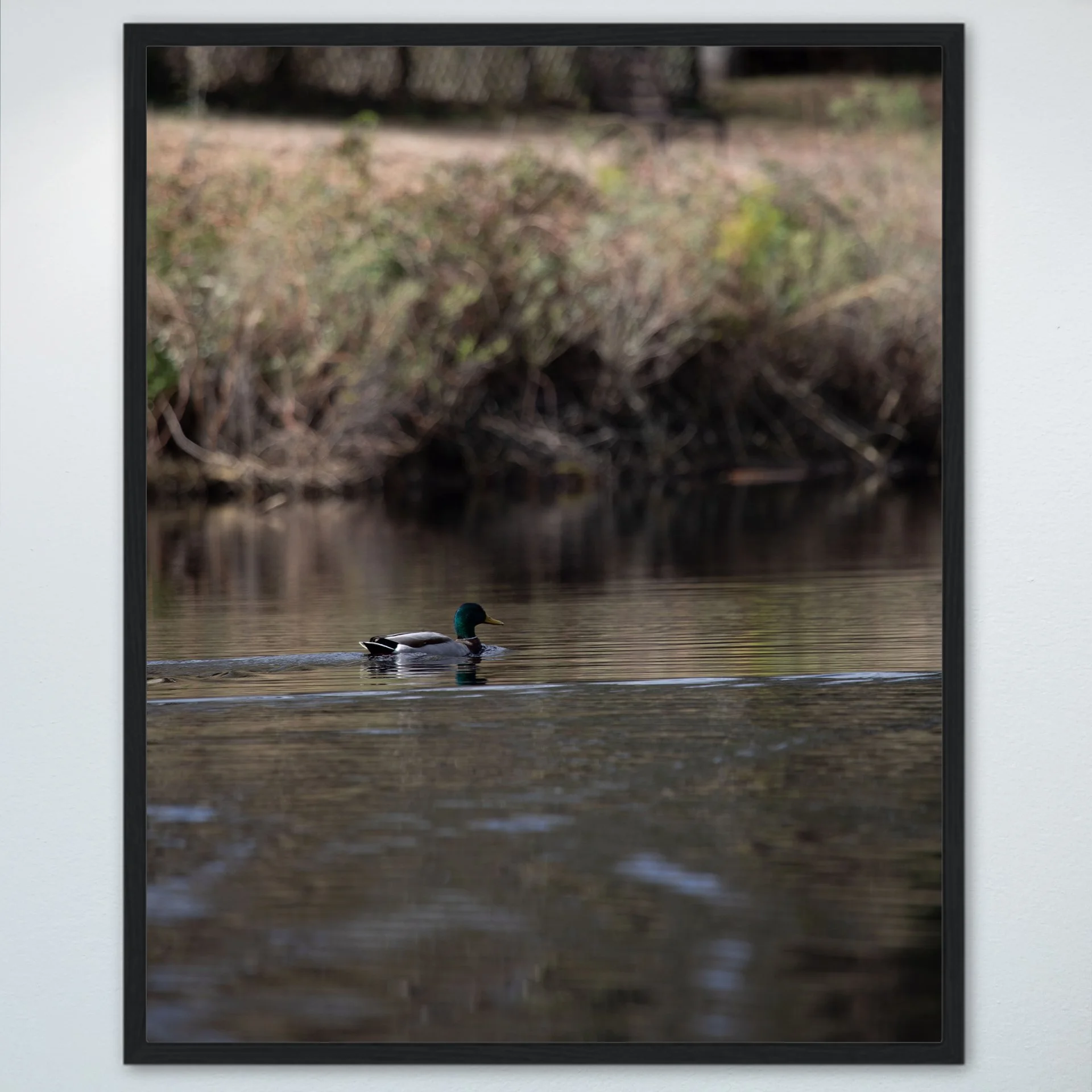 1:10 Duck at Seashore State Park- Wood.jpg
