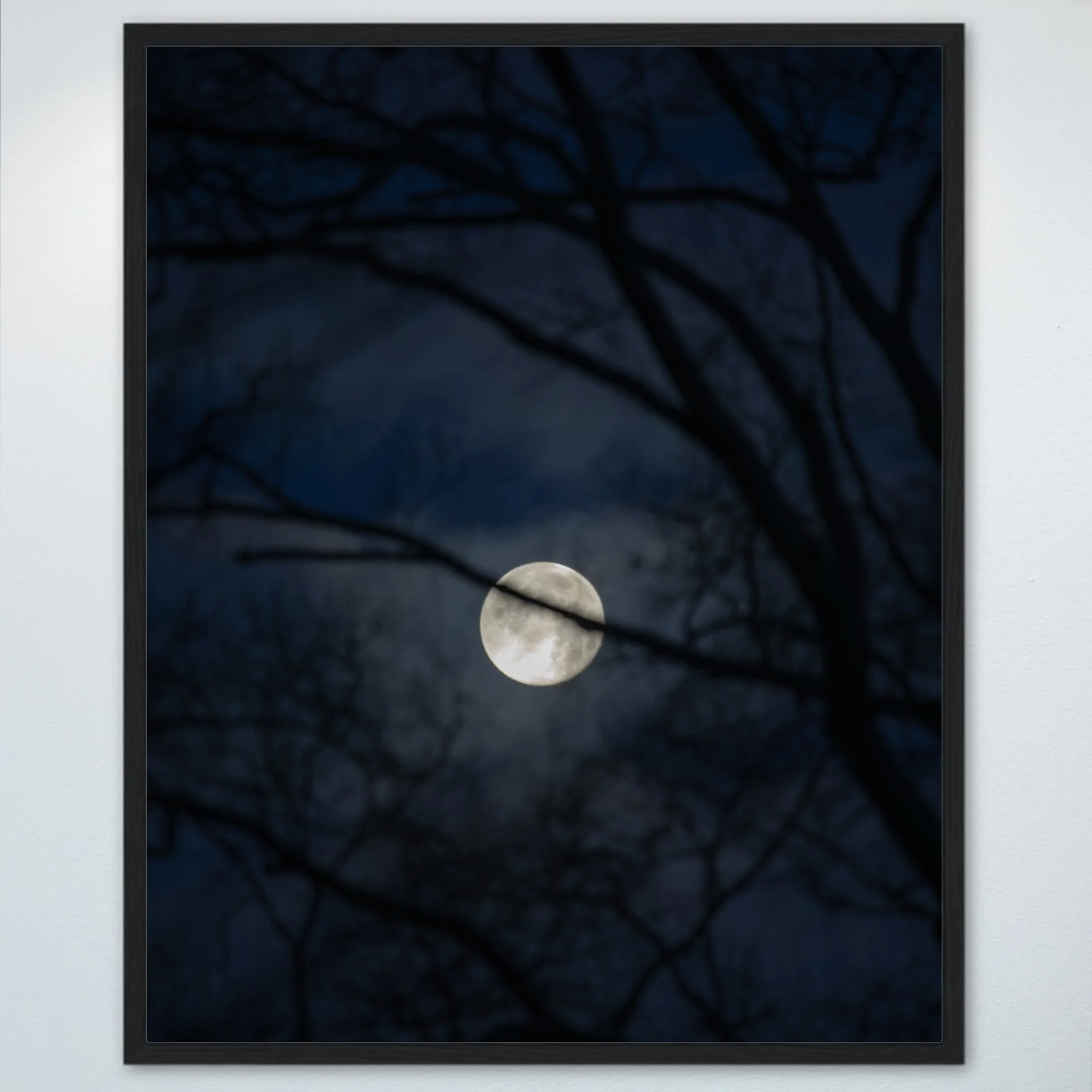 1:10 Moon thru Tree Branches- Wood.jpg