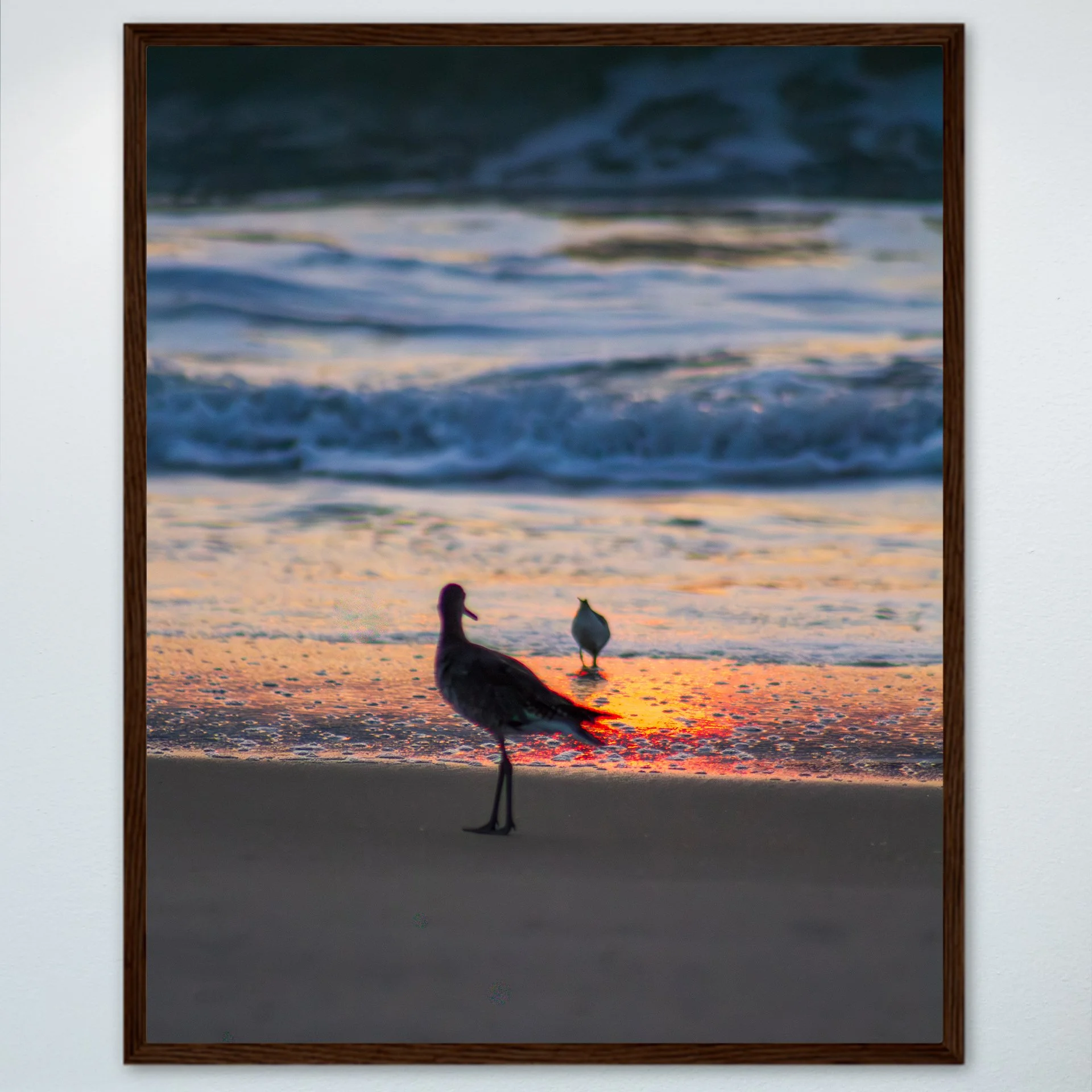 1:1 Willets at Sunrise- Wood.jpg