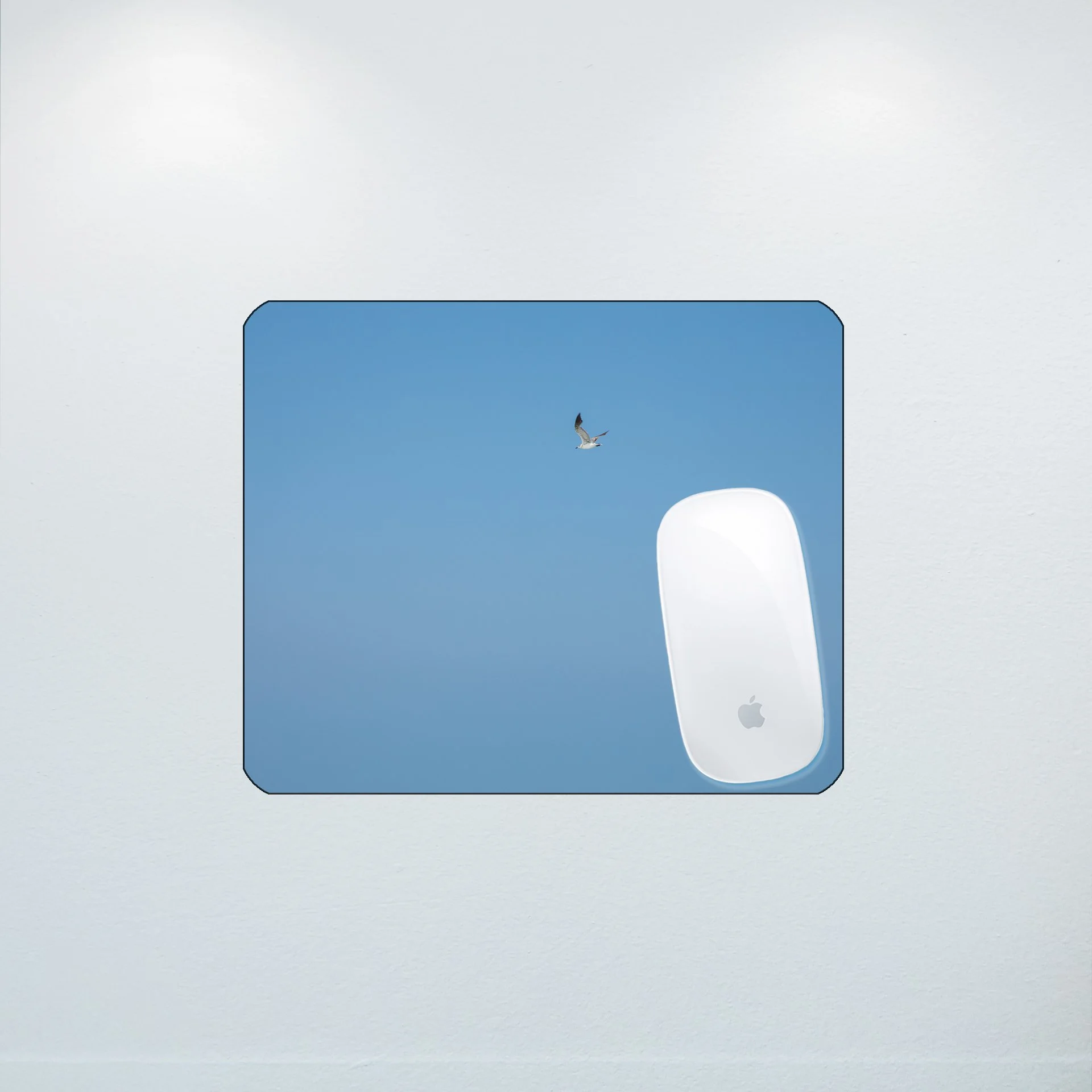 1:10 Blue Sky Seagull- Mouse Pad.jpg