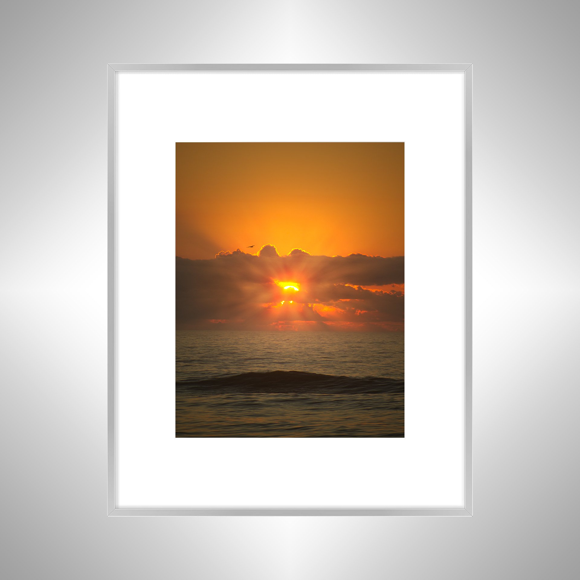 1:1 Sea + Gull Sunrise Flare- Silver w: Border.jpg