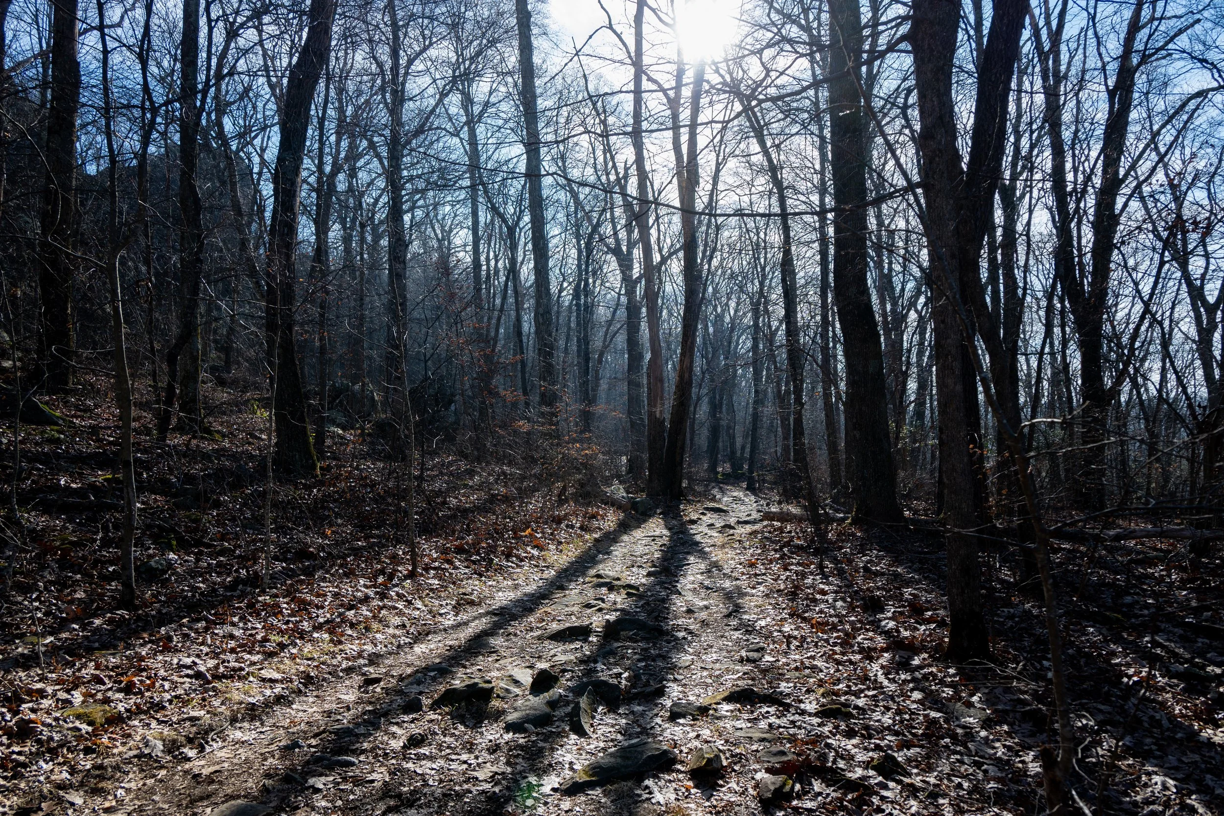 1:10 Shenandoah National Park Trail.jpg