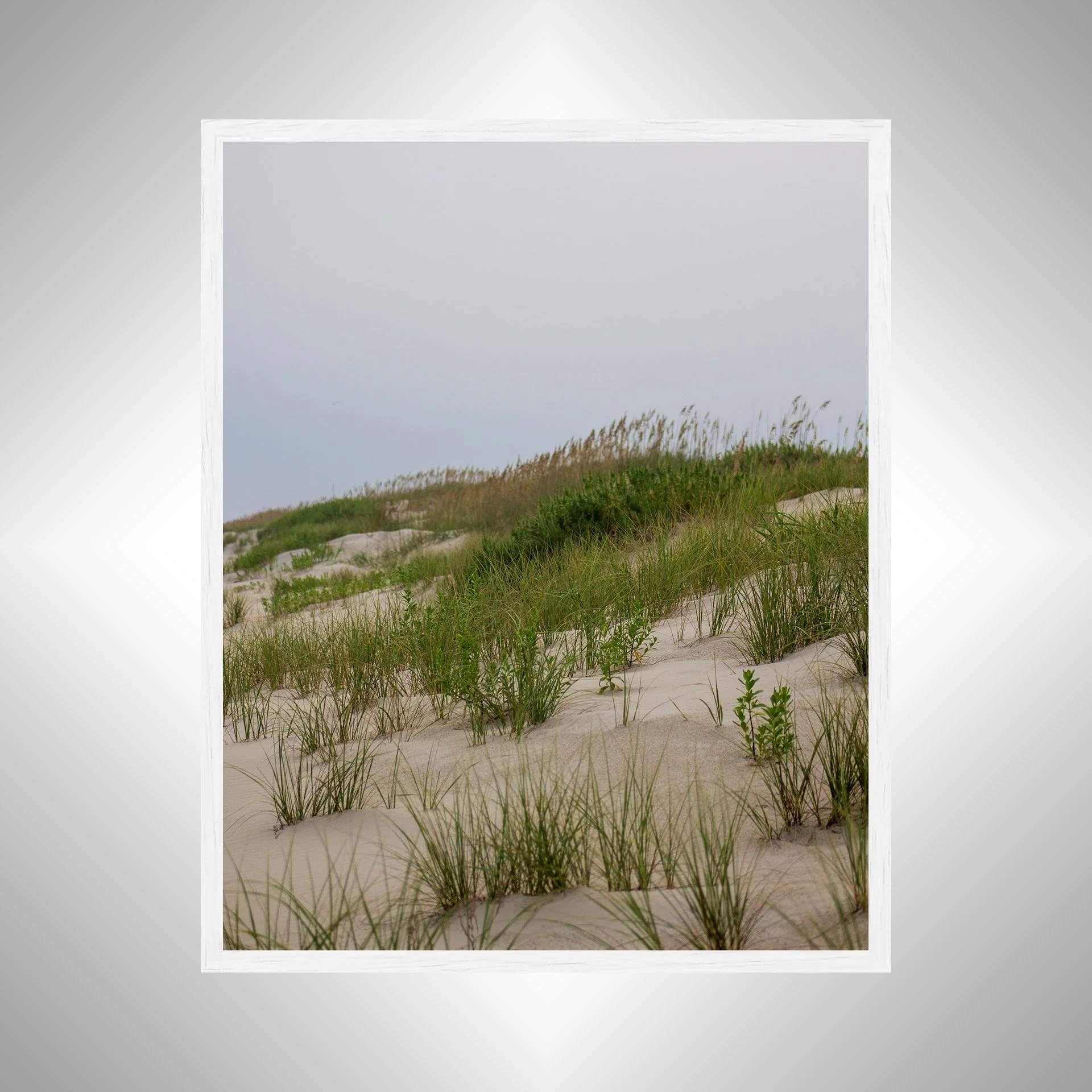 1:10 Ocracoke Dune Oats (Portrait)- White.jpg