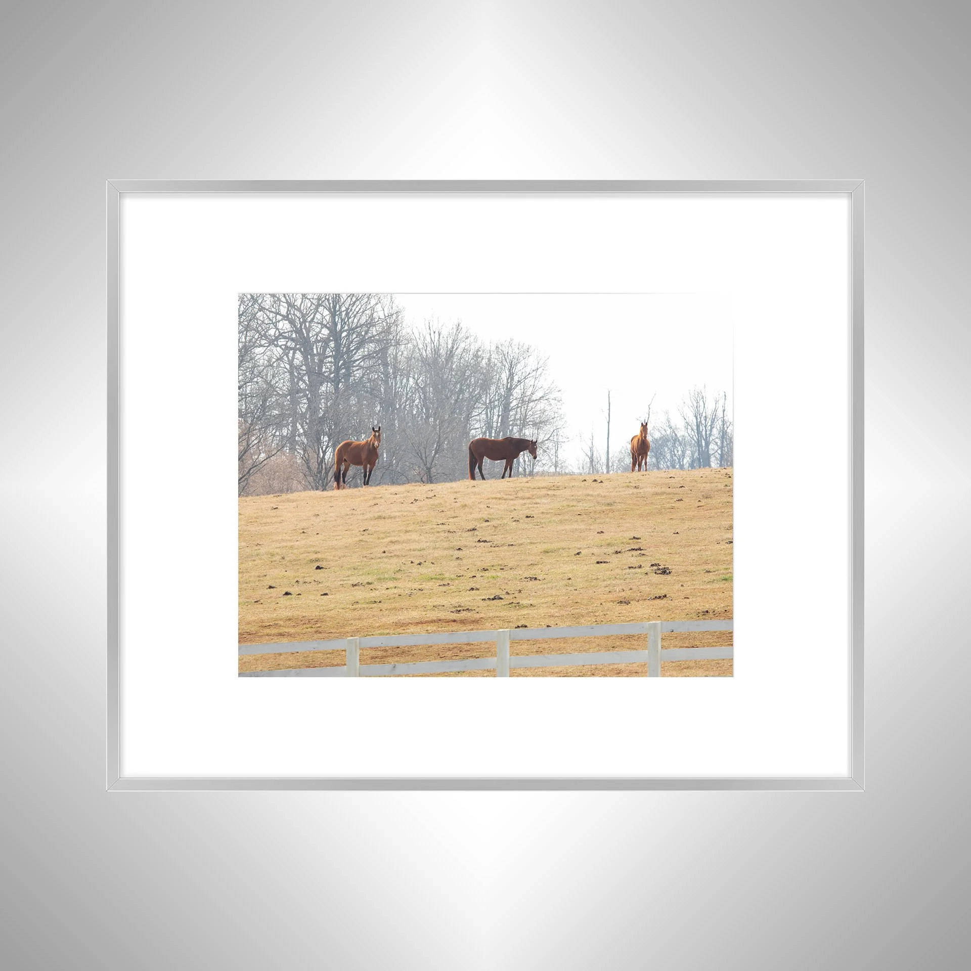 1:10 Horse Hill- Silver w: Border.jpg