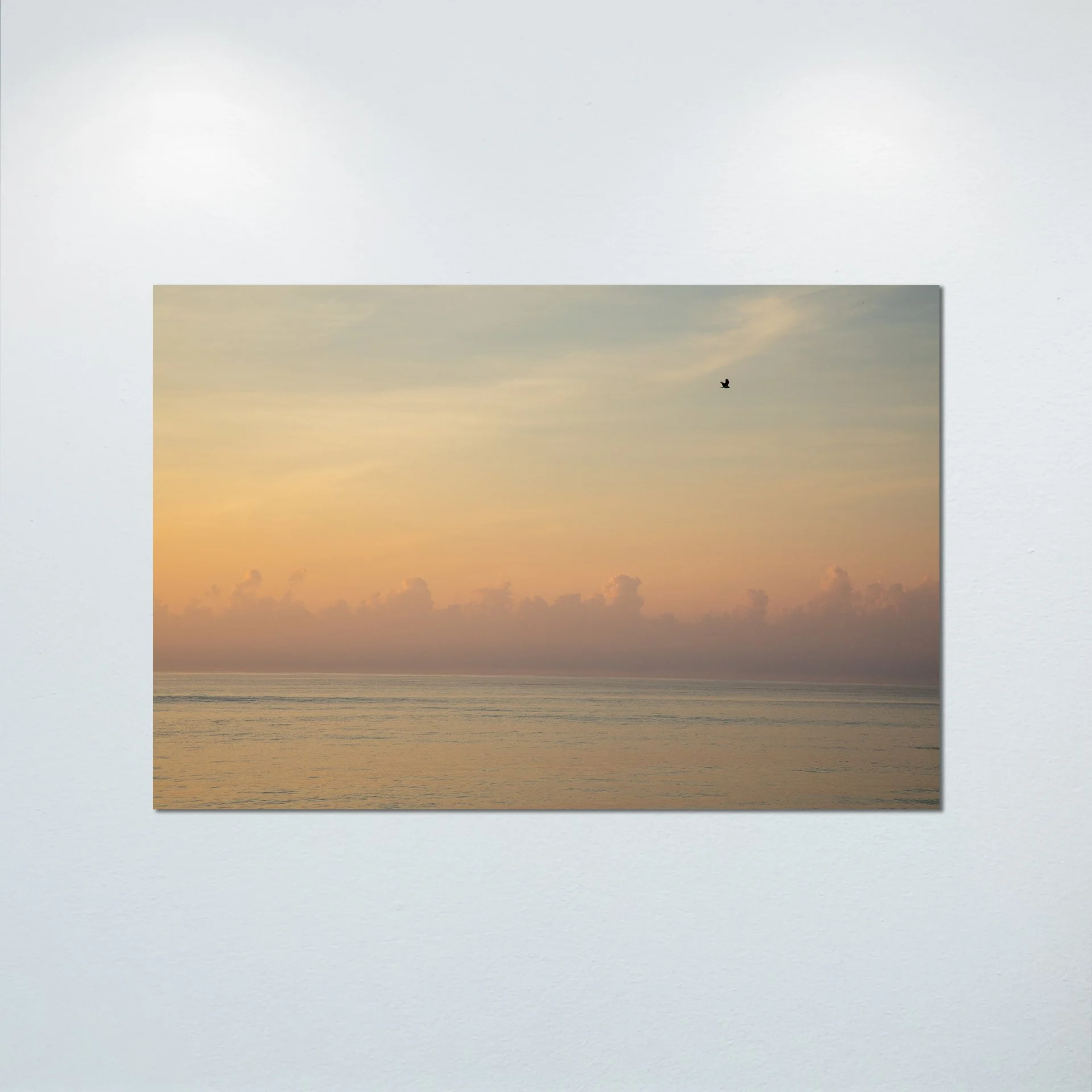 1:1 Clouds on the Horizon with Seagull- Poster & Canvas.jpg