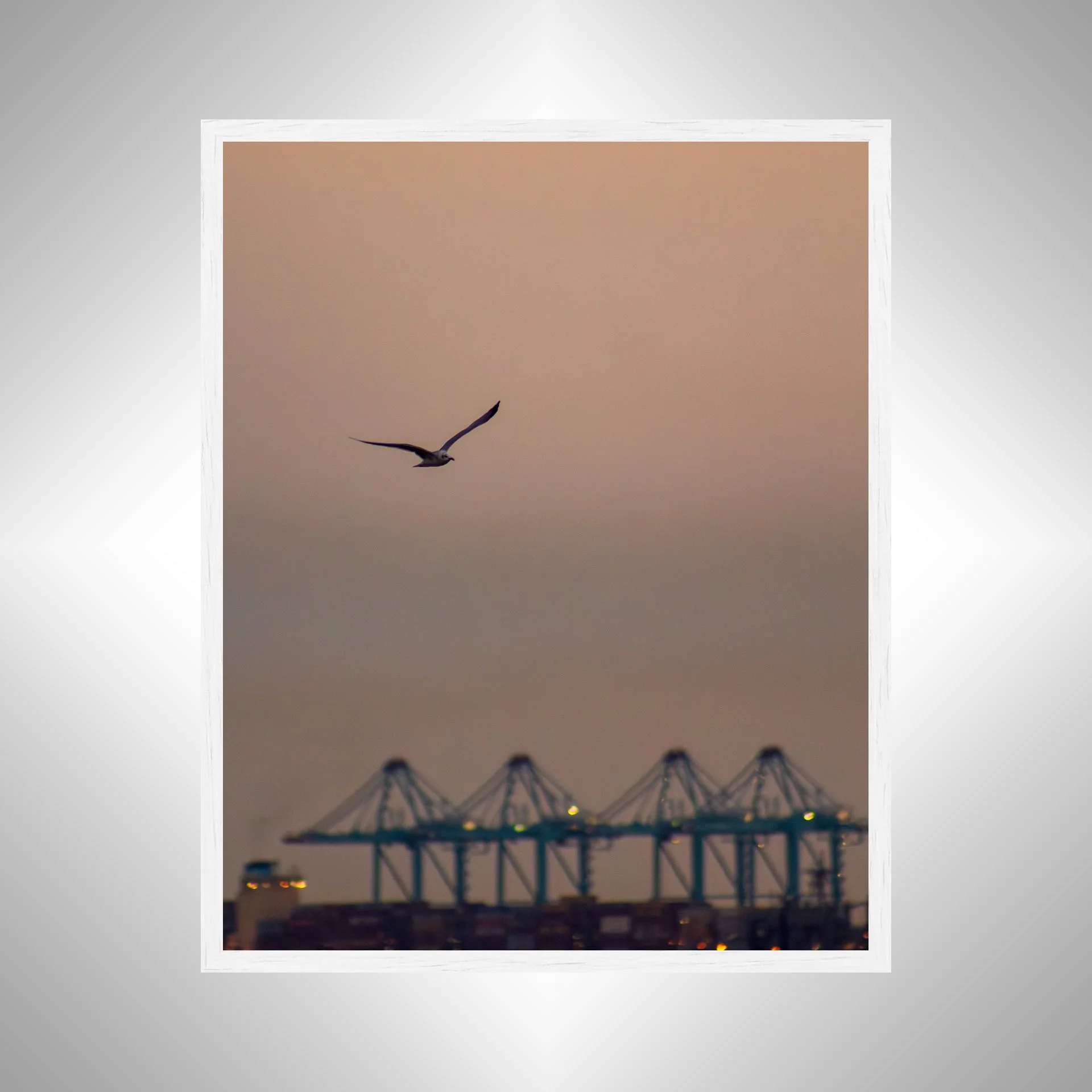 1:1 Seagull with Terminal Cranes- White.jpg