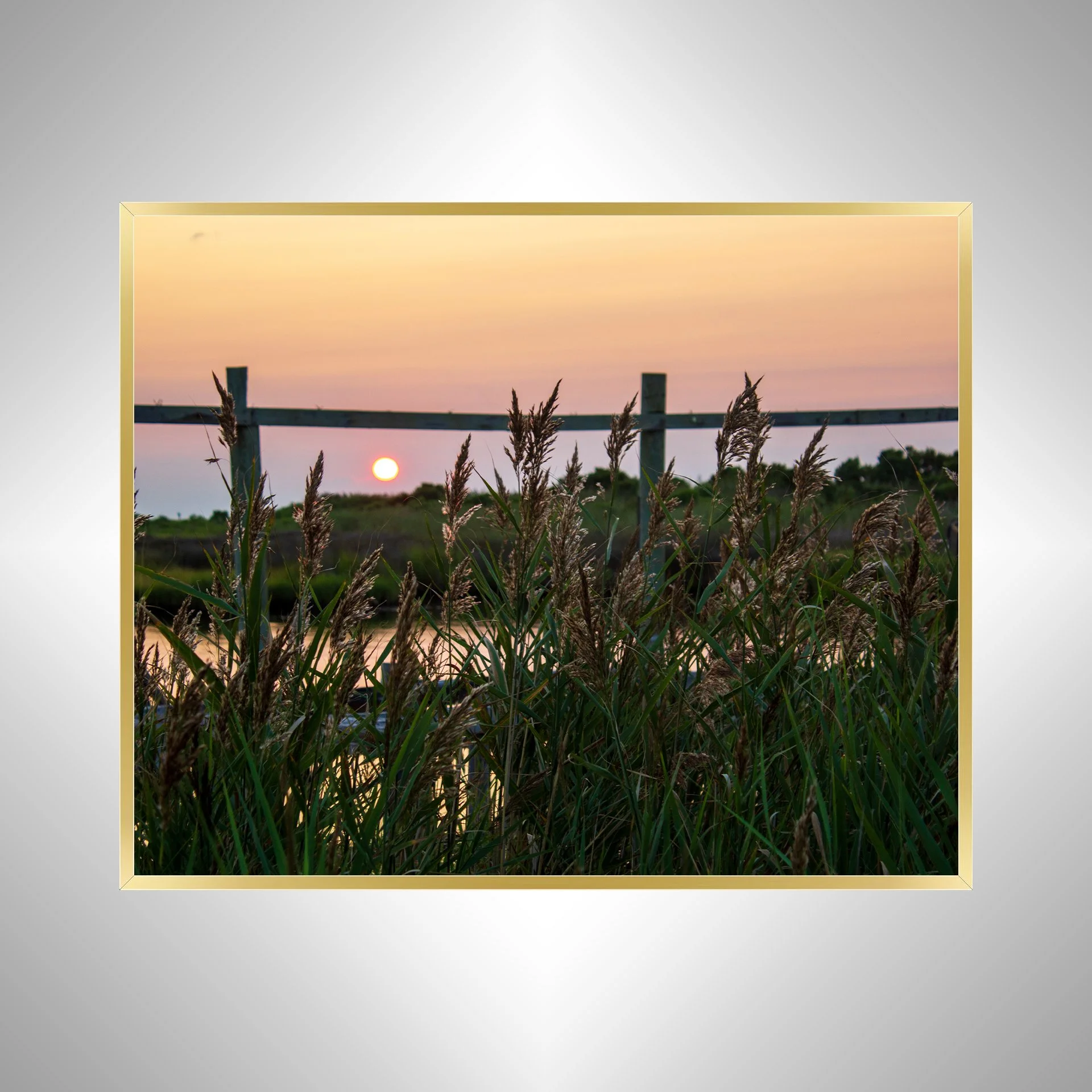 1:1 OBX Sound Sunset with Sea Oats- Gold.jpg