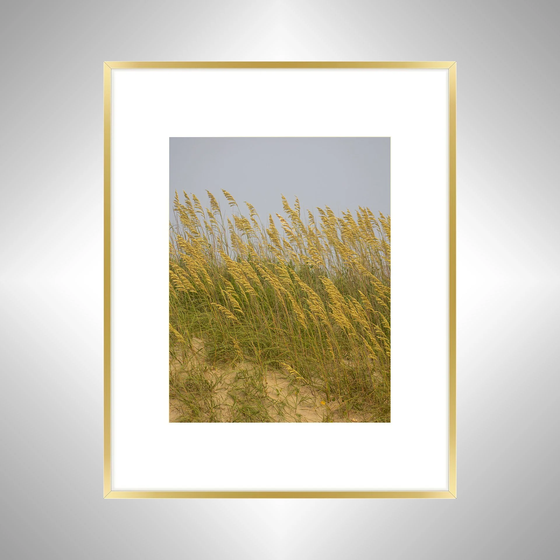 1:1 Rodanthe Dune Oats (Portrait)- Gold w: Border.jpg