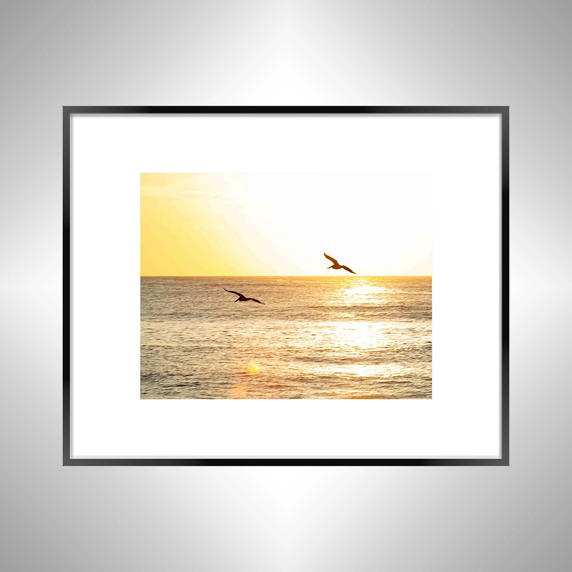 1:10 Gliding to the Sunrise- Black w: Border.jpg
