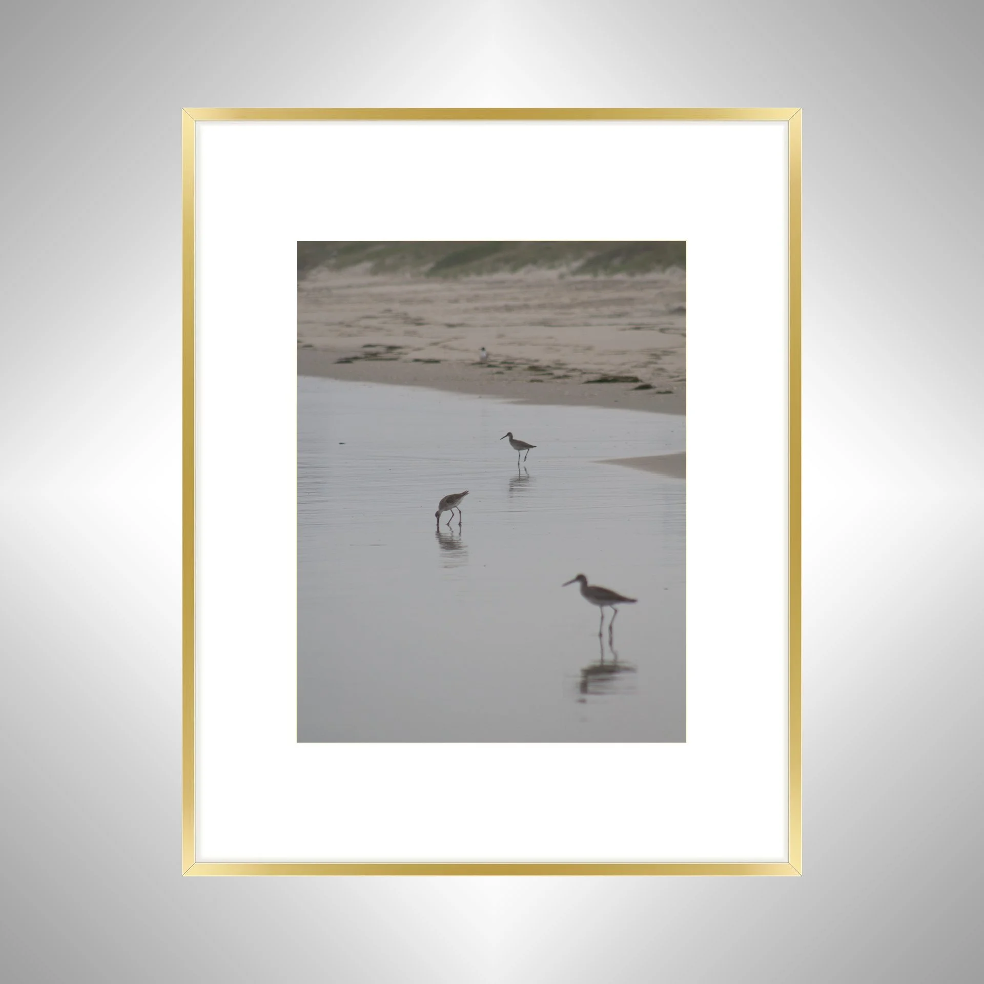 1:1 Three Willets Reflection- Gold w: Border.jpg
