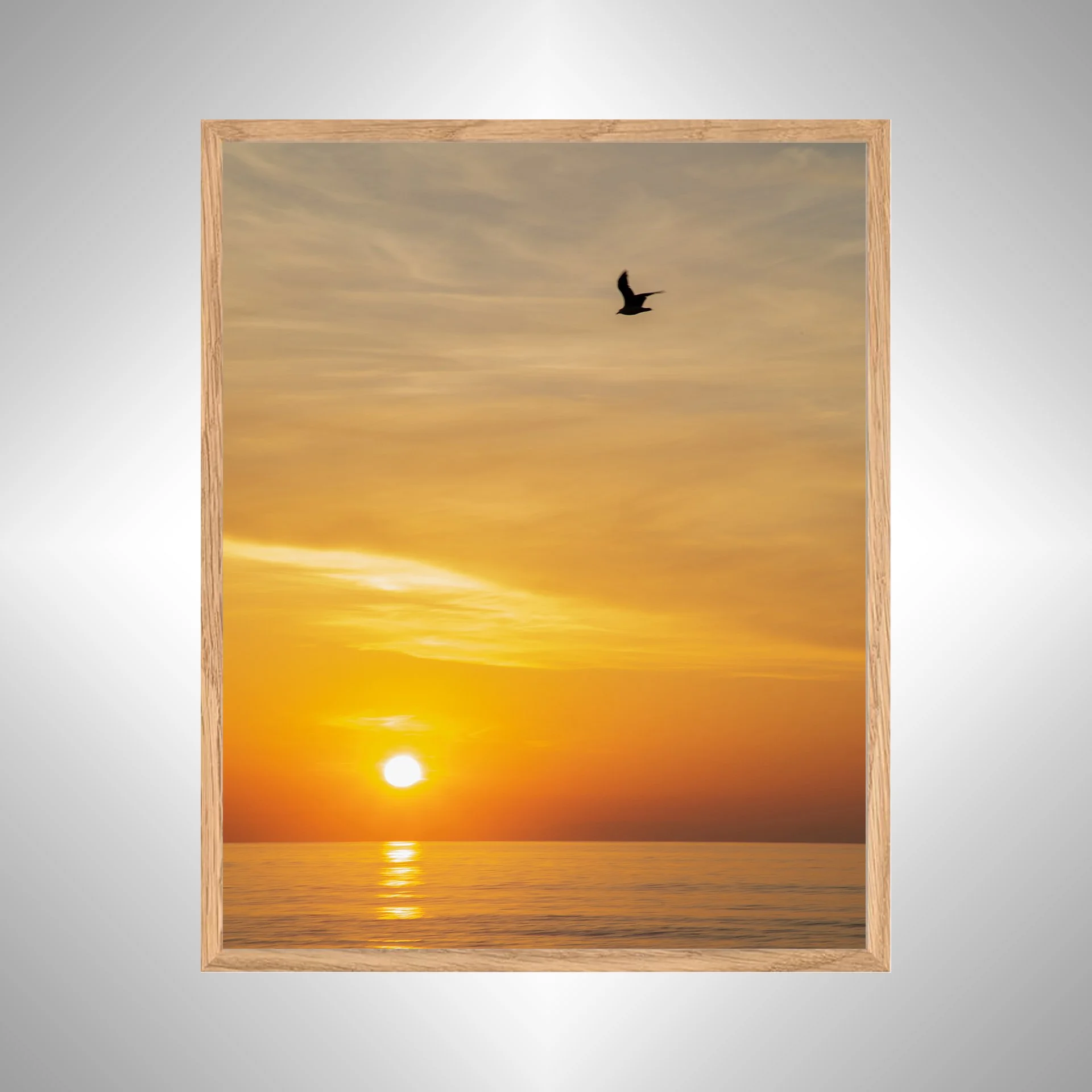 1:1 Seagull Sunrise- White copy NATTY.jpg