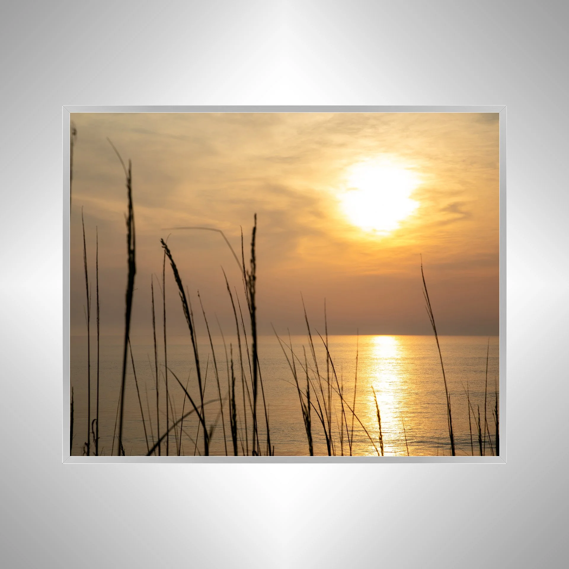 1:1 Sunrise Reflection thru Dunegrass- Silver.jpg