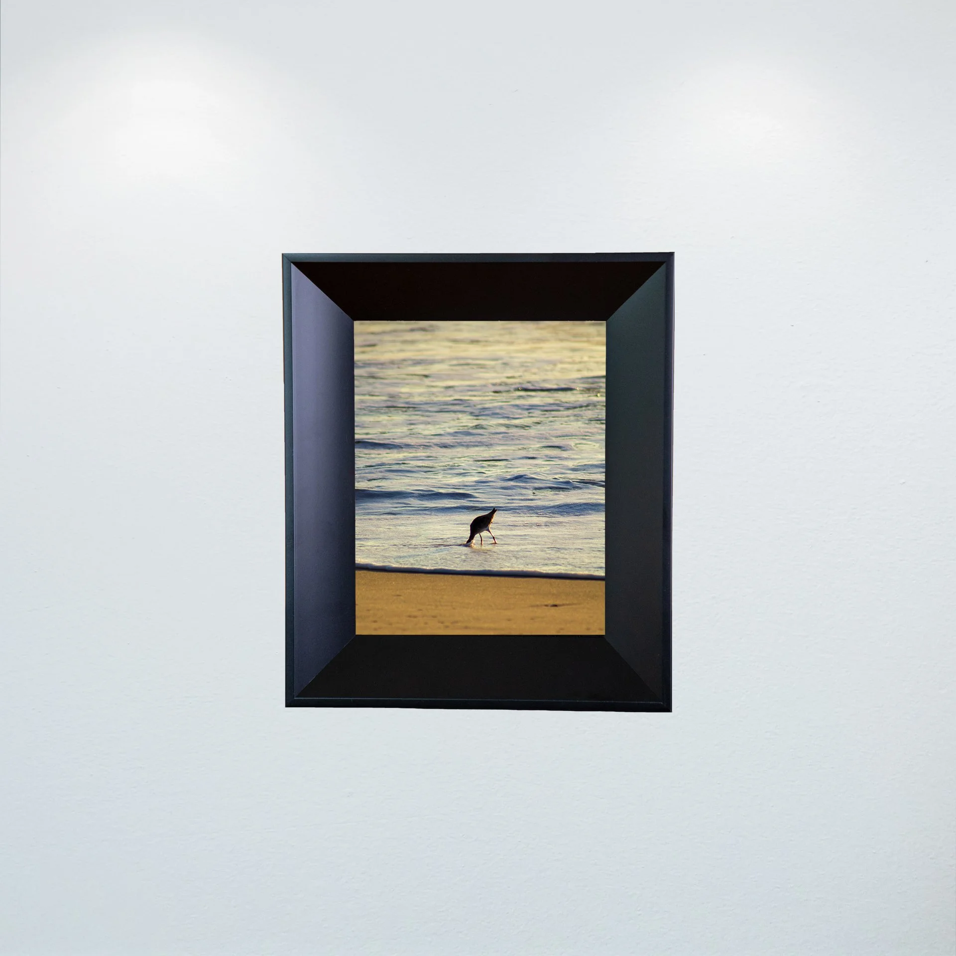 1:1 Willet Hunting- Mini.jpg