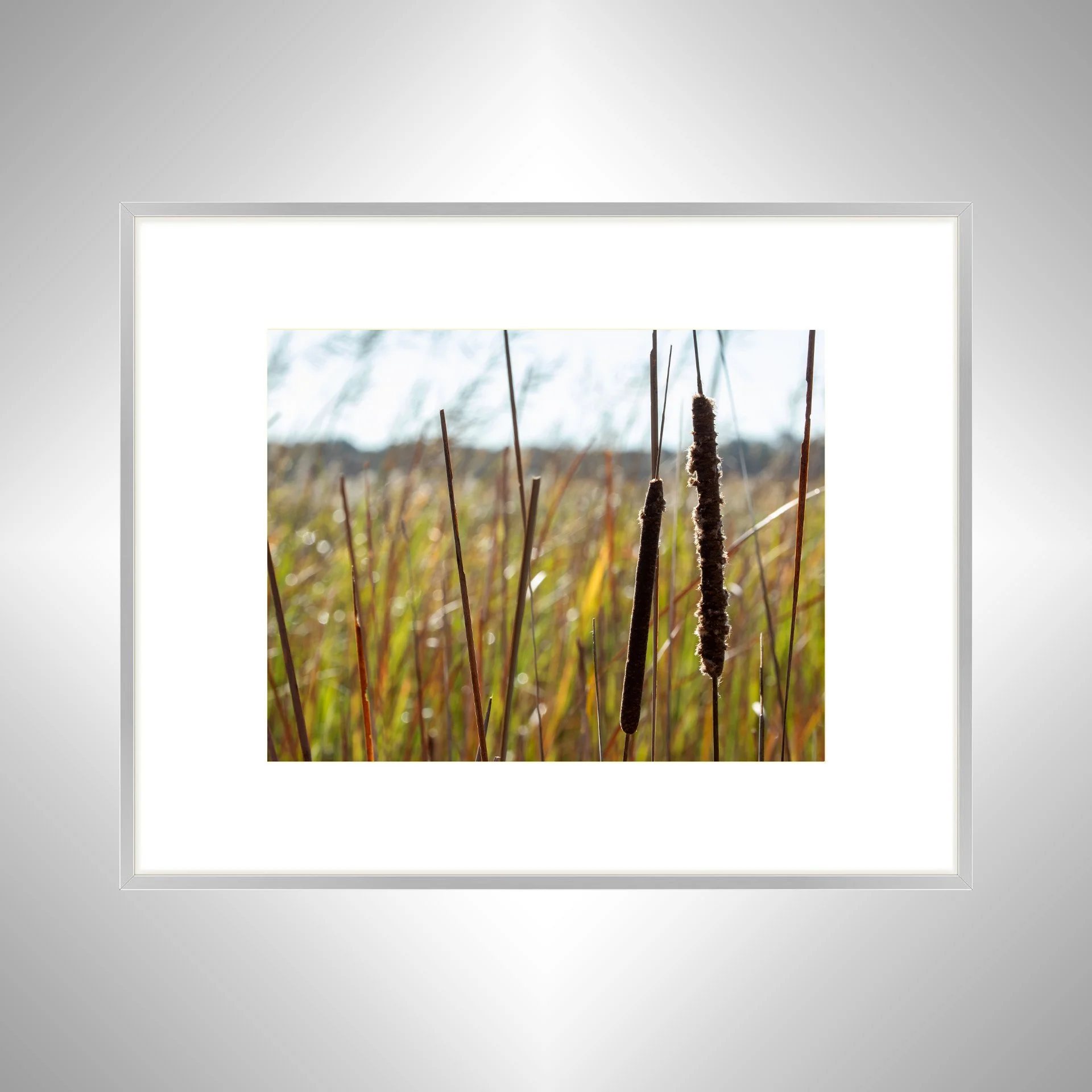 1:1 Back Bay Cattails- Silver Metal w: Border.jpg