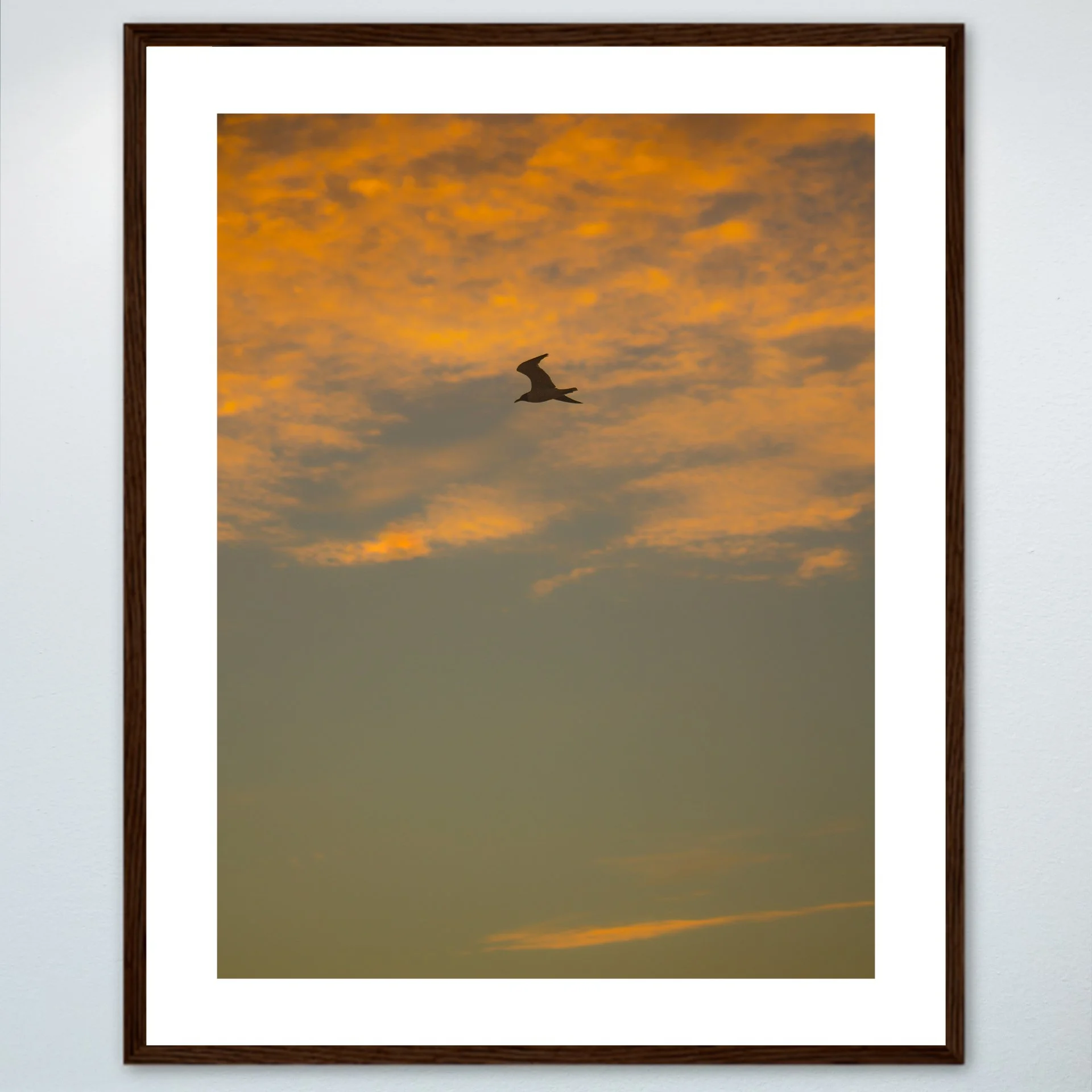 1:1 Seagull Flying with Orange Clouds- Wood w: Border.jpg