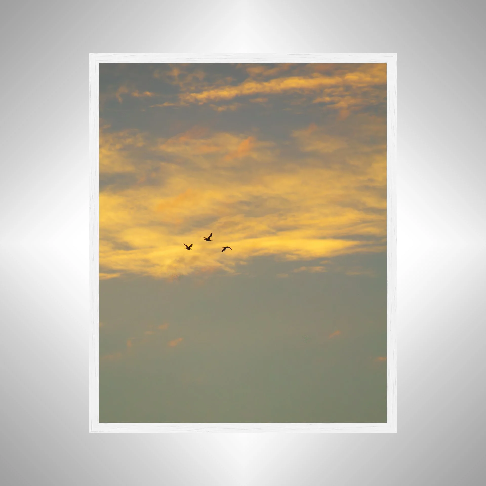 1:1 Trio of Gulls Flying at Sunrise- White.jpg