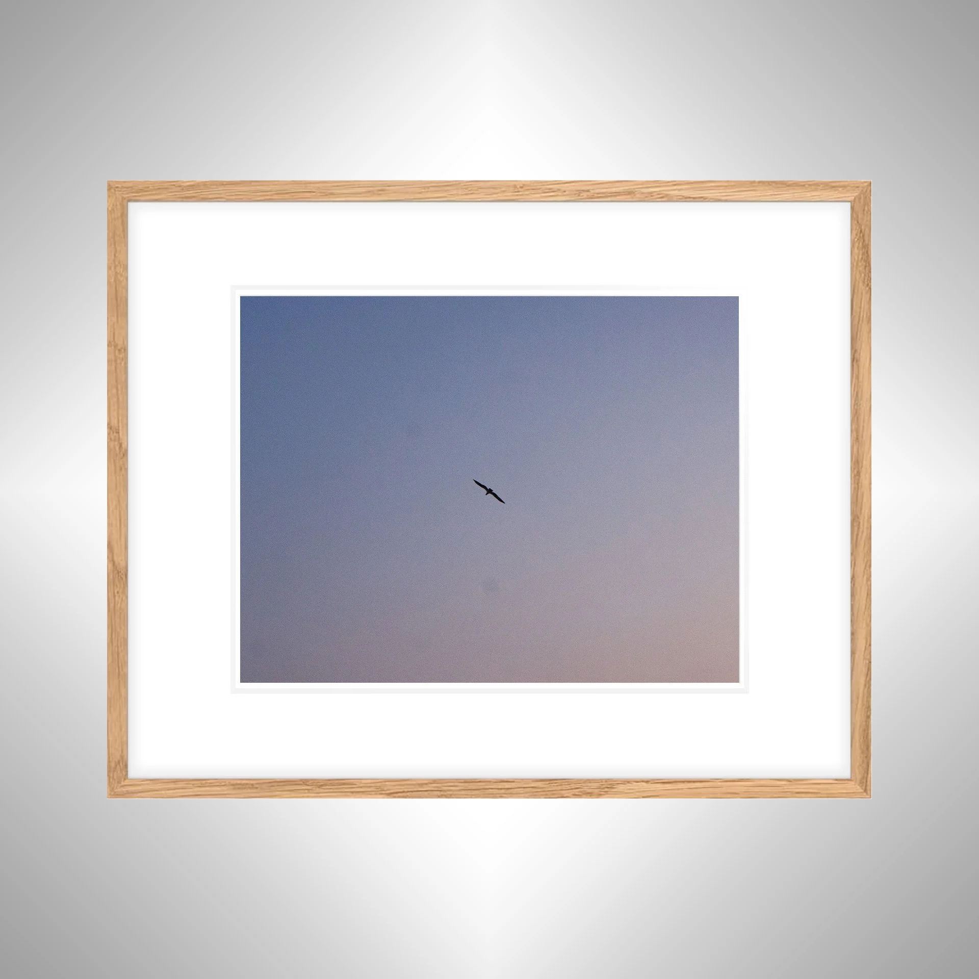 1:10 Kitty Hawk Seagull with Colorful Gradient Sky- White w: Border copy NATTY.jpg