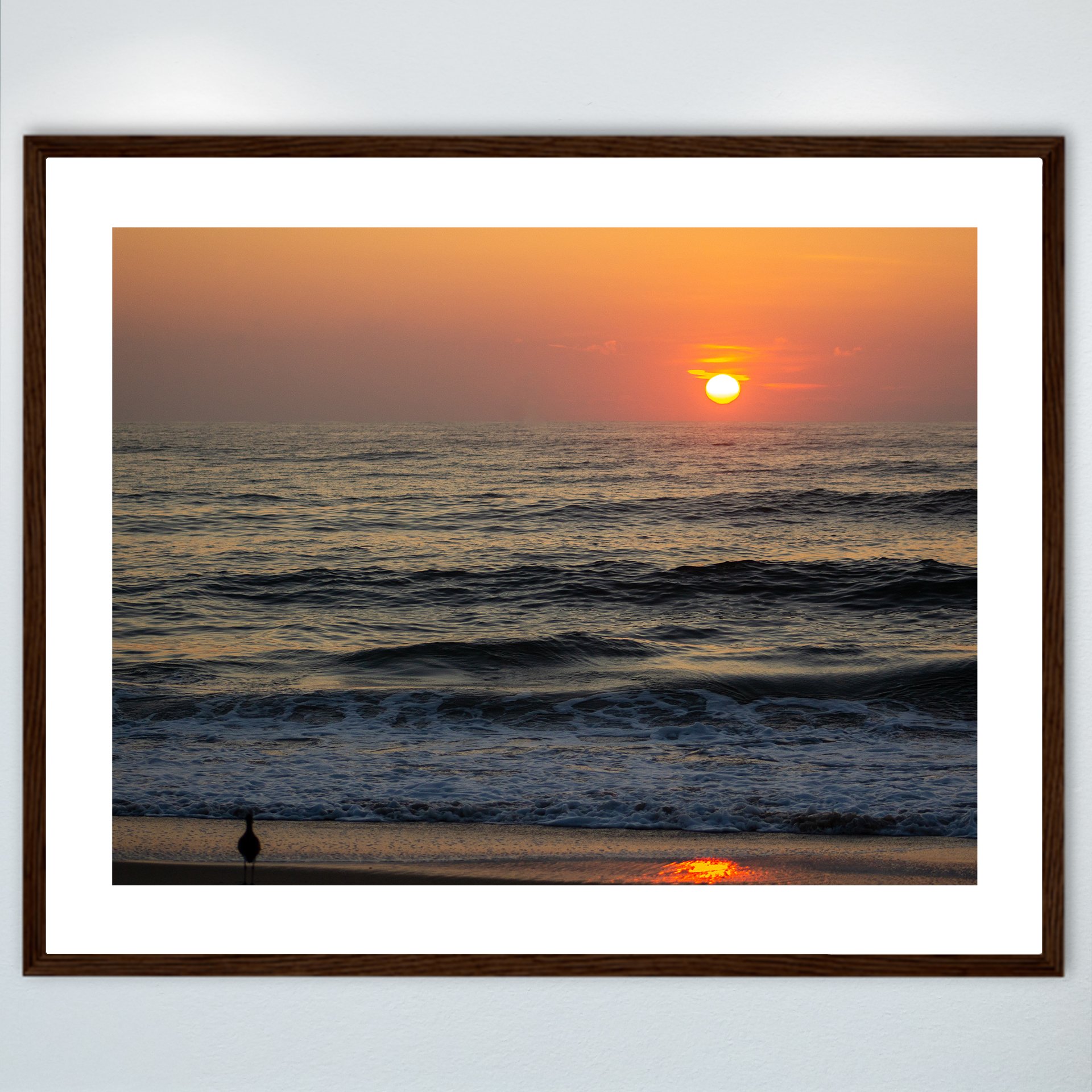 1:1 Willet Watching Sunrise- Wood w: Border.jpg
