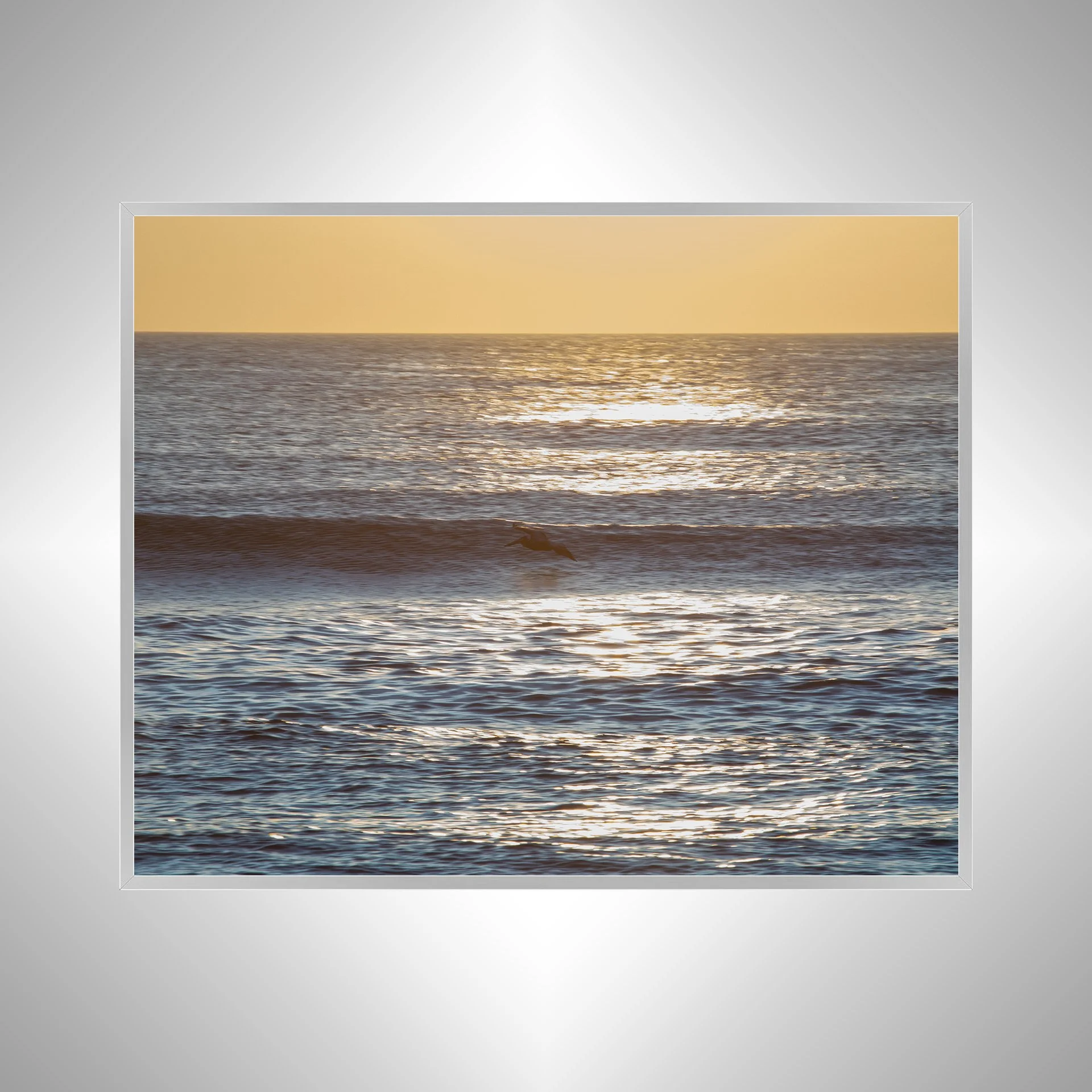 1:10 Wave Rider Glider-s.jpg