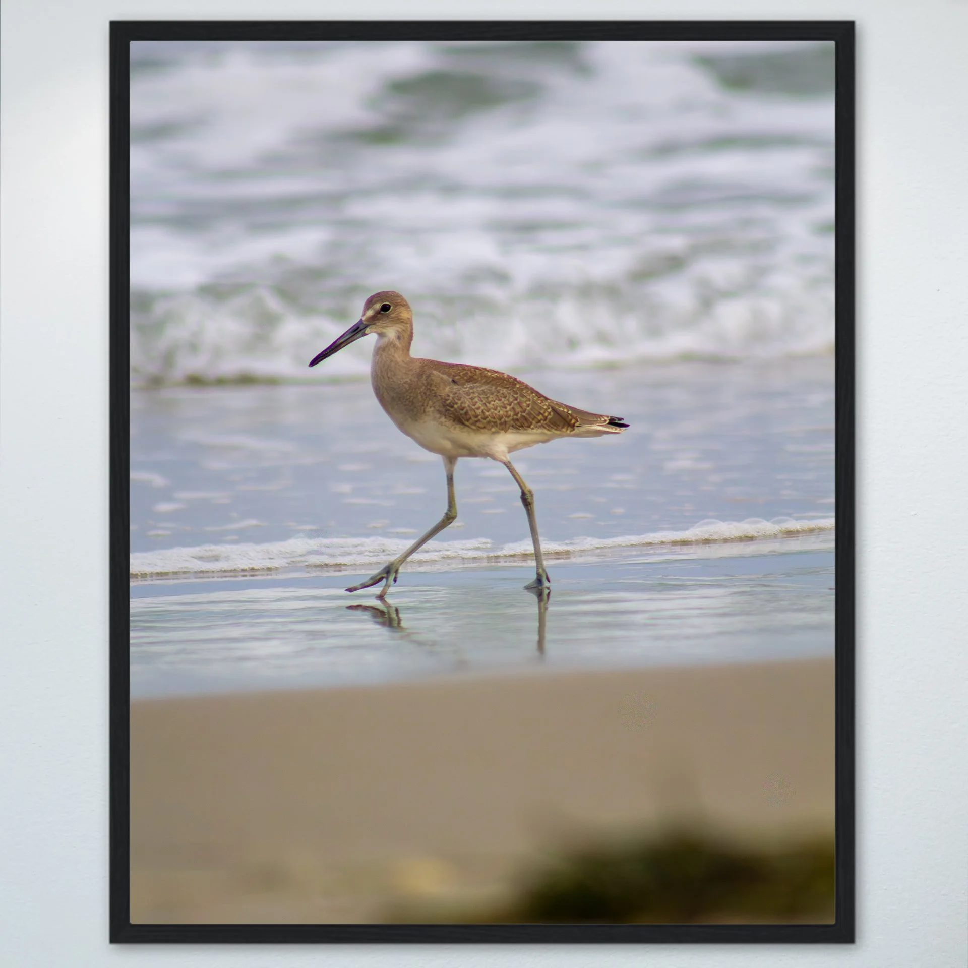 1:1 Willet Walking- Wood.jpg