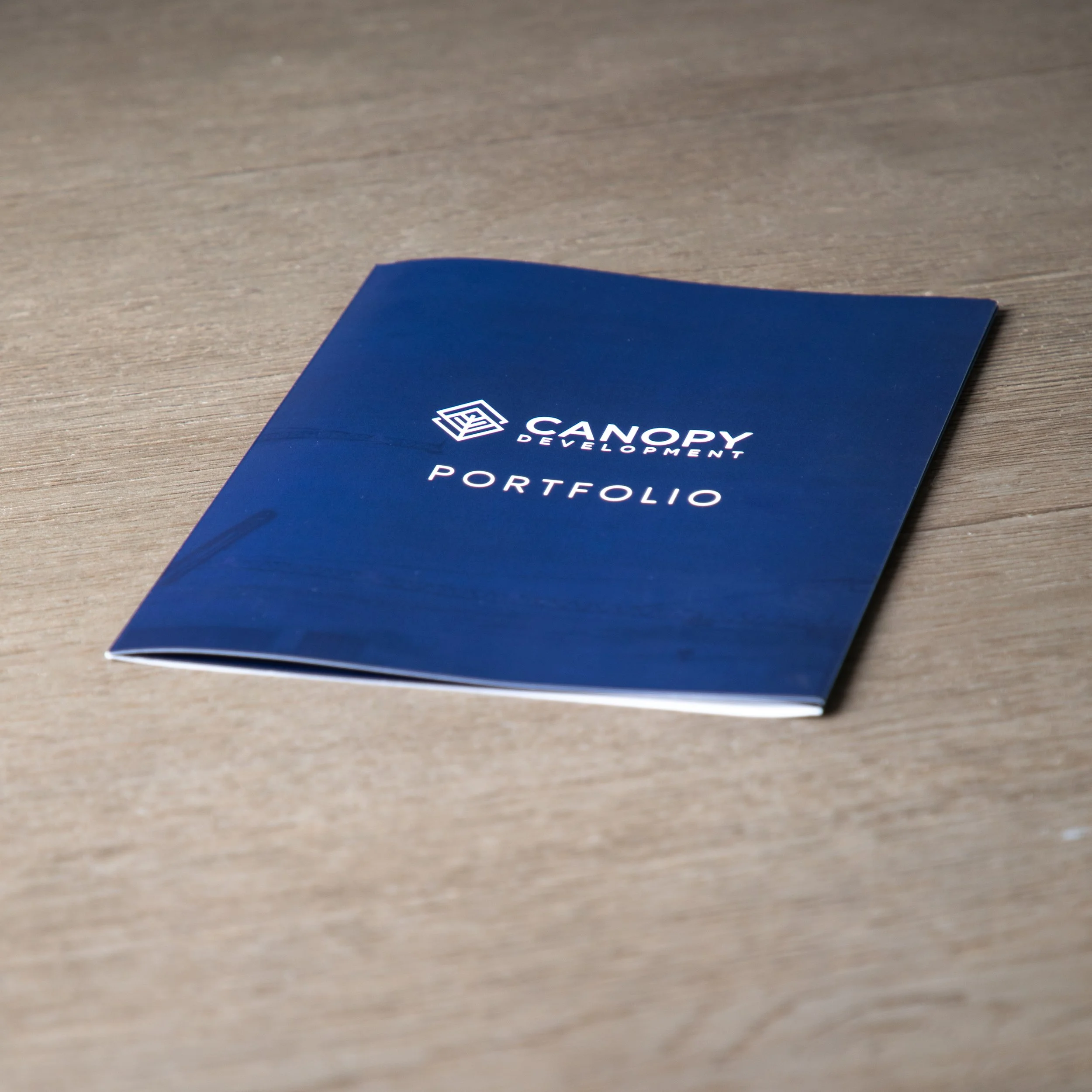 Canopy Development Portfolio2.jpg