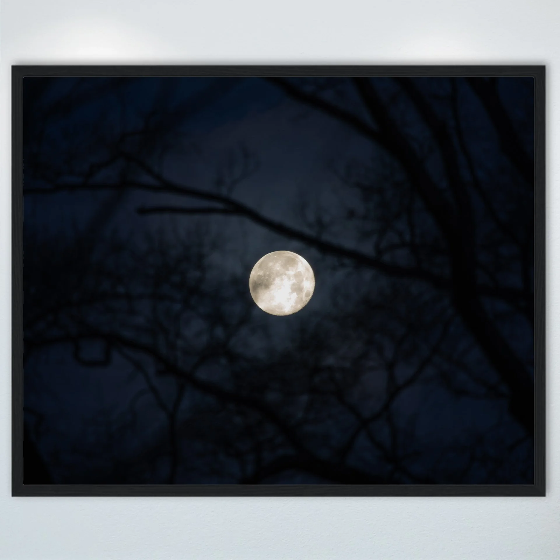 1:10 Spooky Morning in Norfolk- Wood.jpg