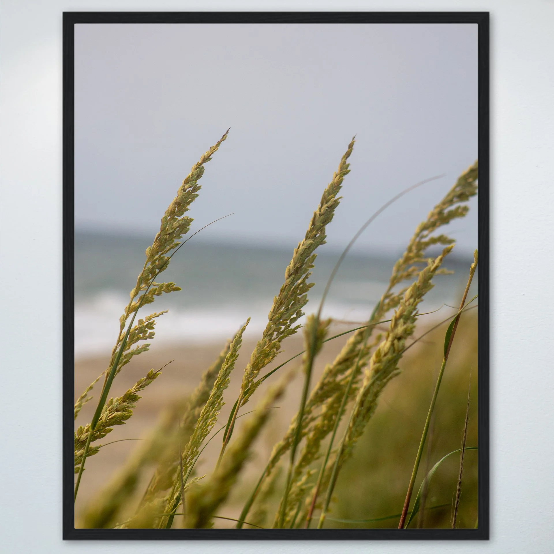 1:1 Rodanthe Dune Oats Group- Wood.jpg