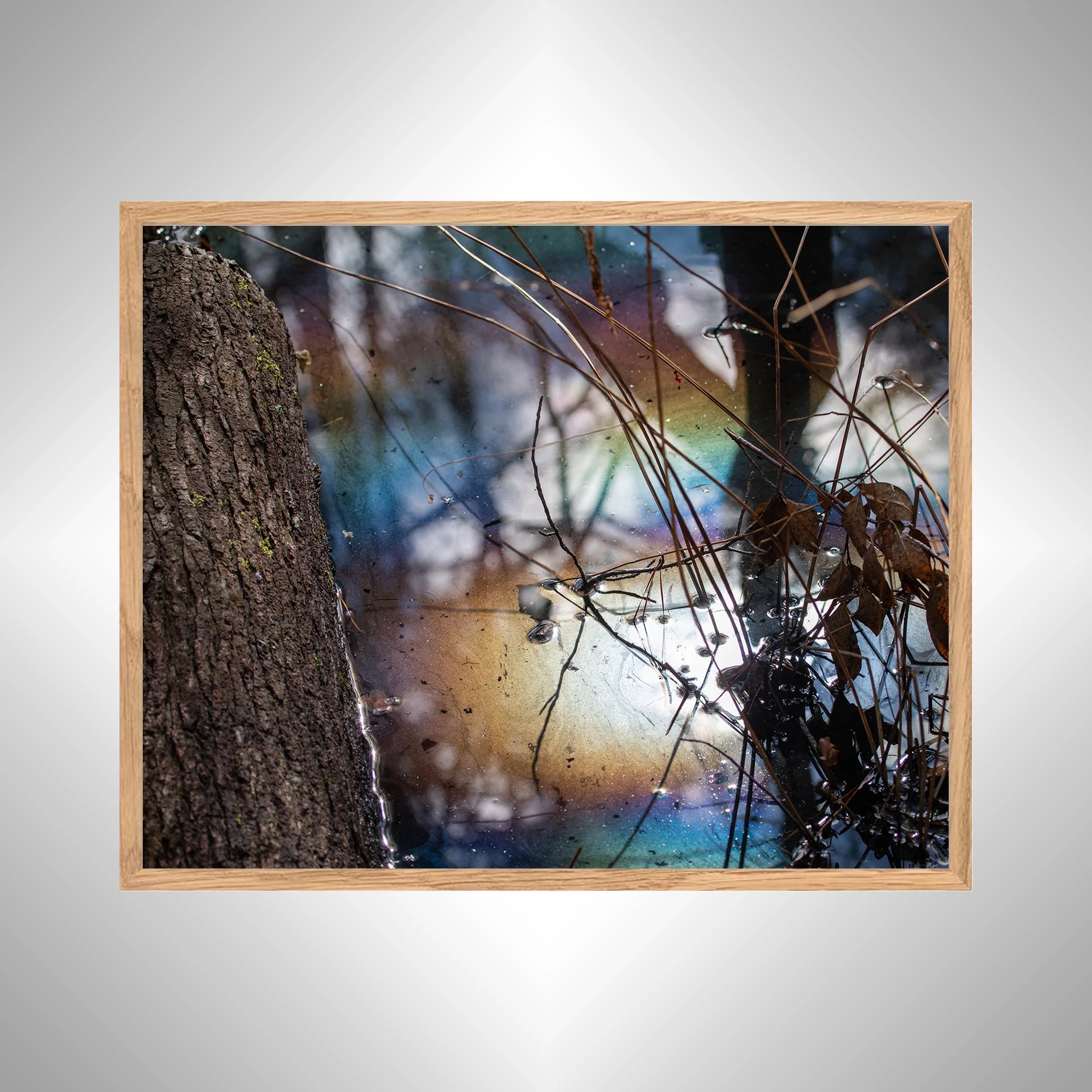 1:1 Rainbow Water at First Landing- White copy NATTY.jpg
