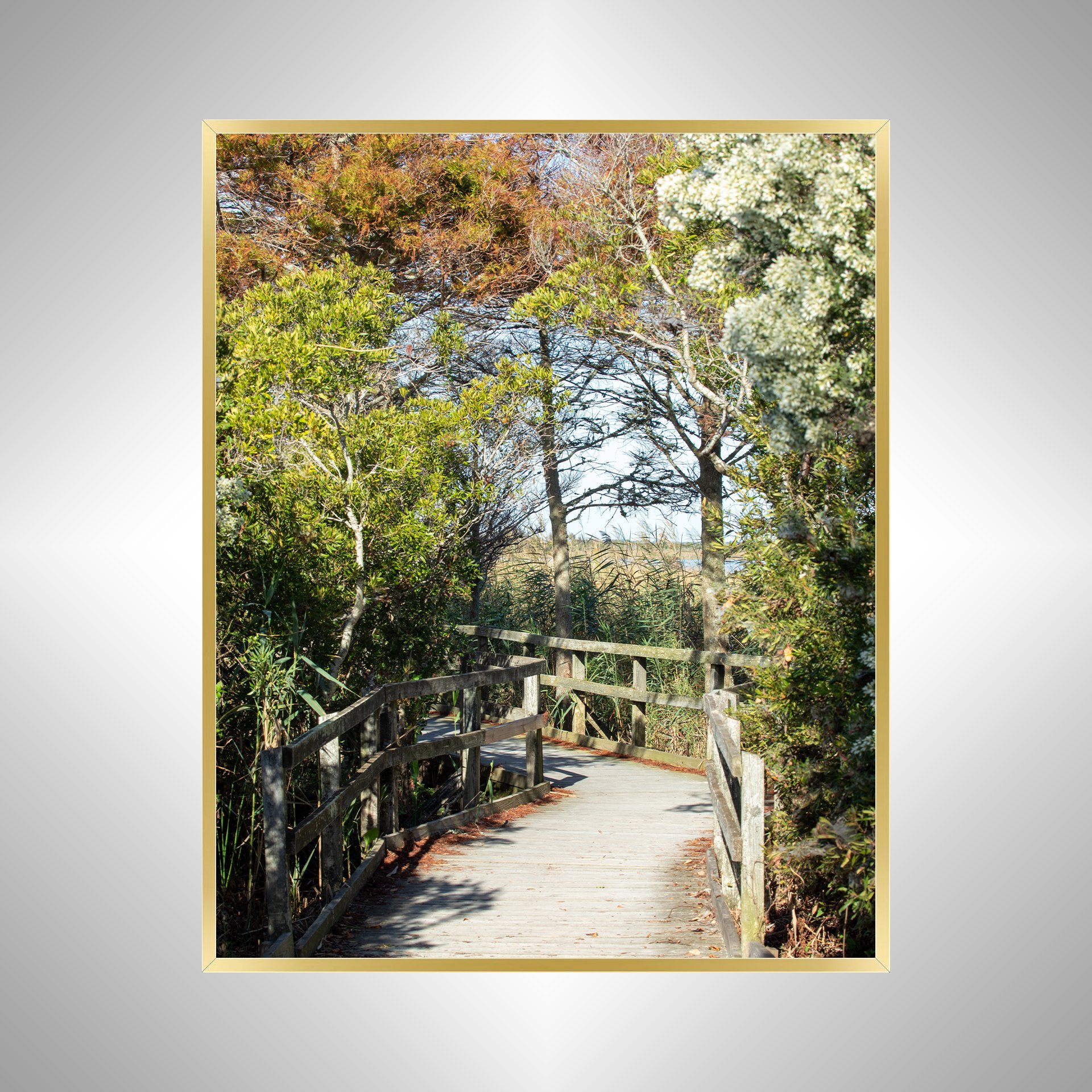 1:1 Back Bay National Wildlife Refuge Boardwalk- Gold Metal.jpg