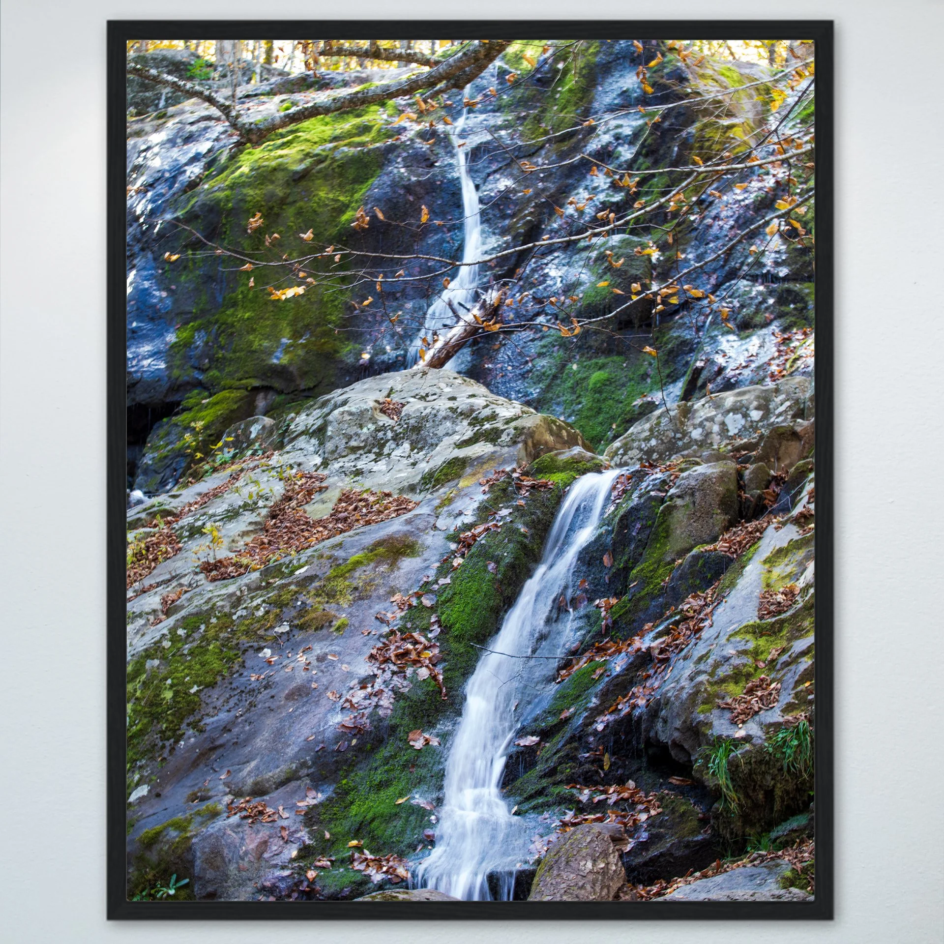 1:1 Shenandoah National Park, Dark Hallow Falls Waterfall- Wood.jpg