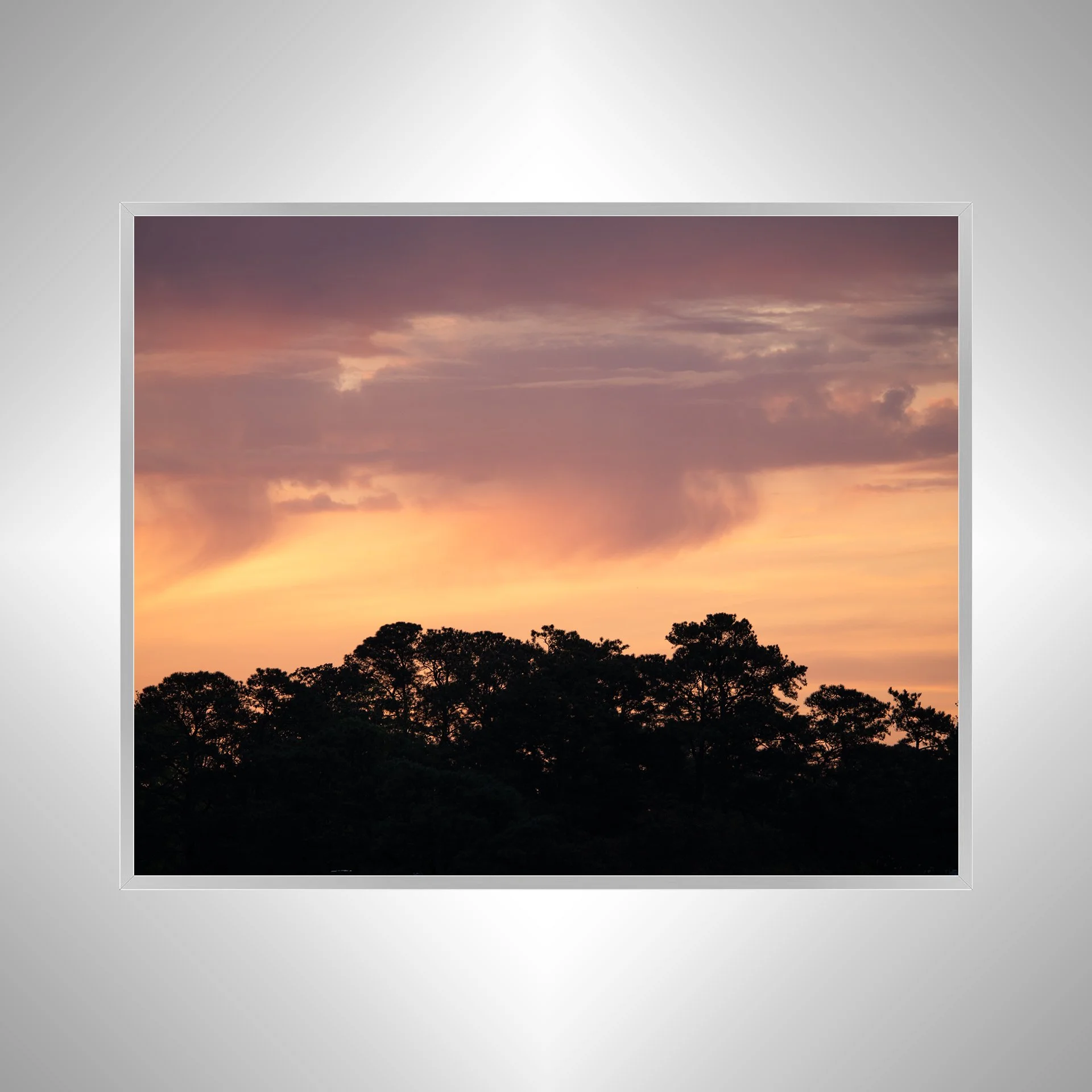 1:10 Orange & Gold Sunrise Sky Behind Trees- Silver.jpg