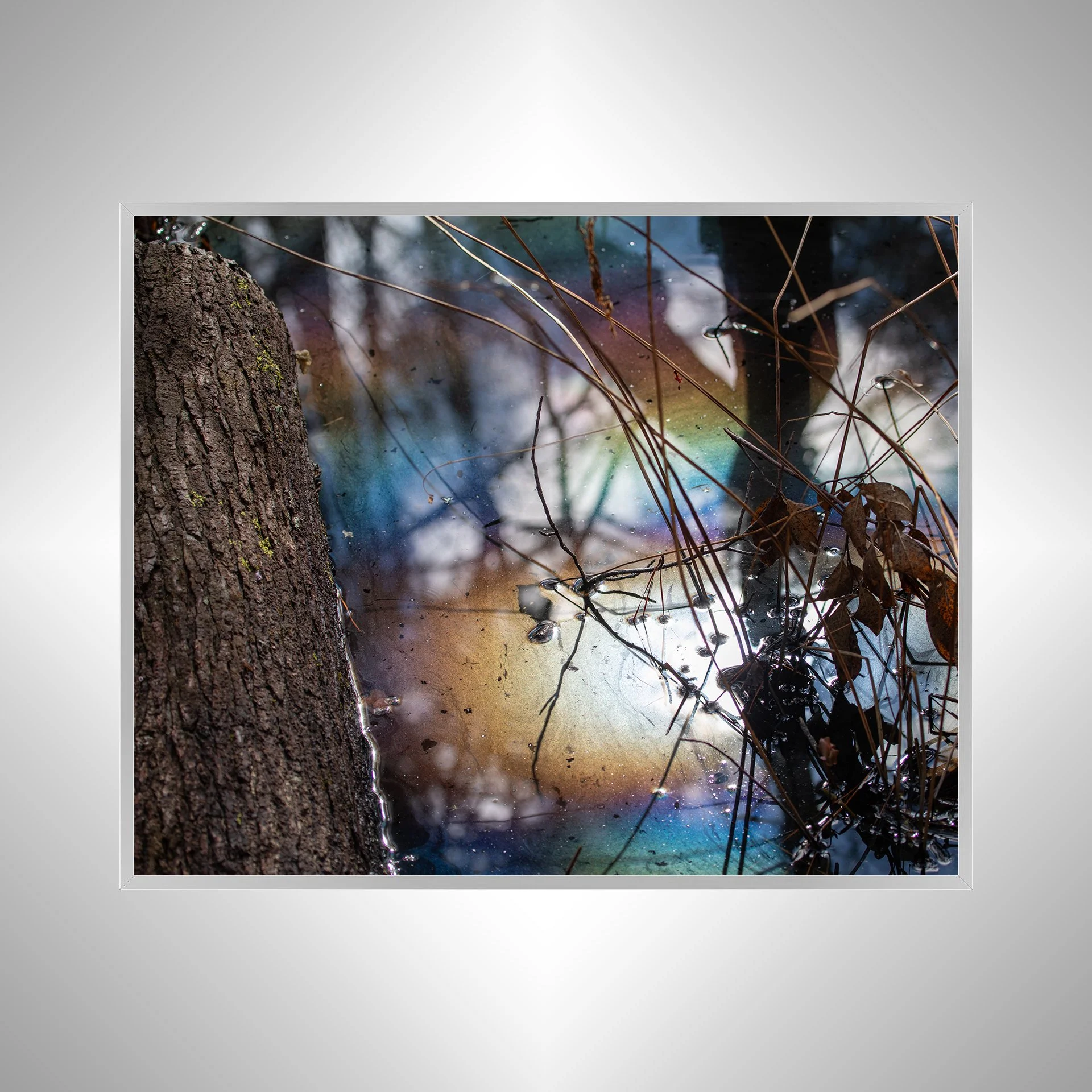 1:1 Rainbow Water at First Landing- Silver.jpg