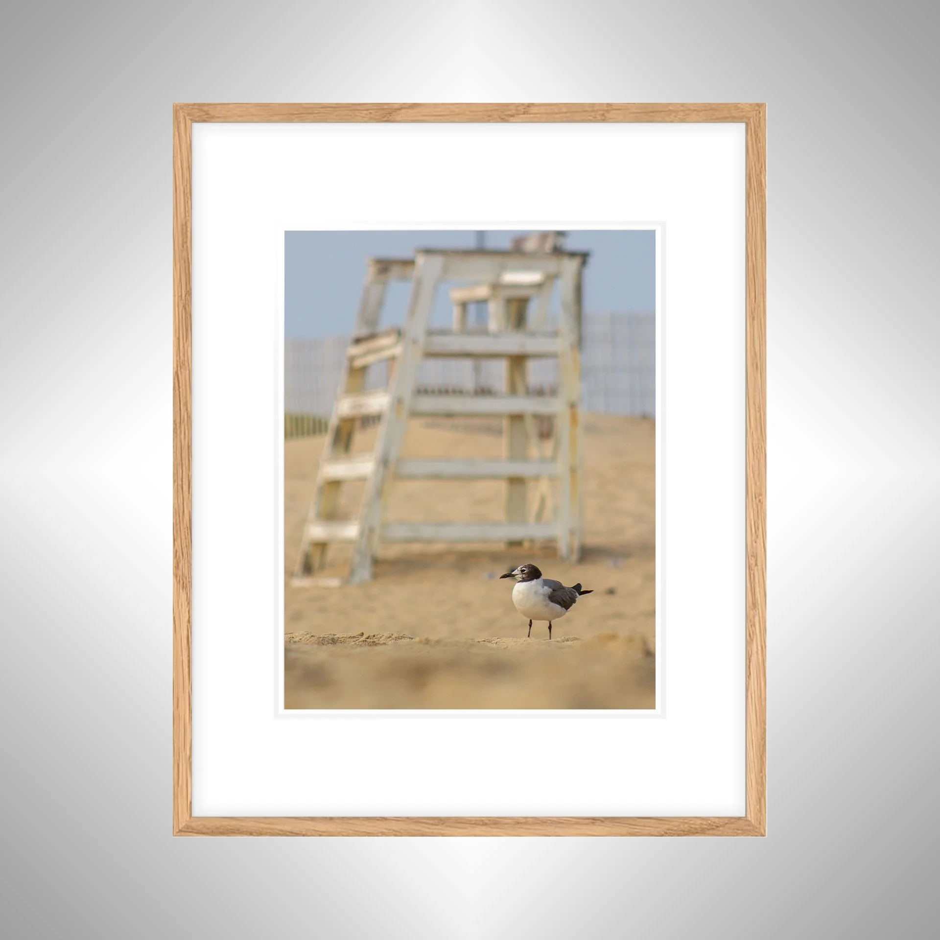 1:1 Lifeguard Gull- White Wood w: Border copy NATTY.jpg