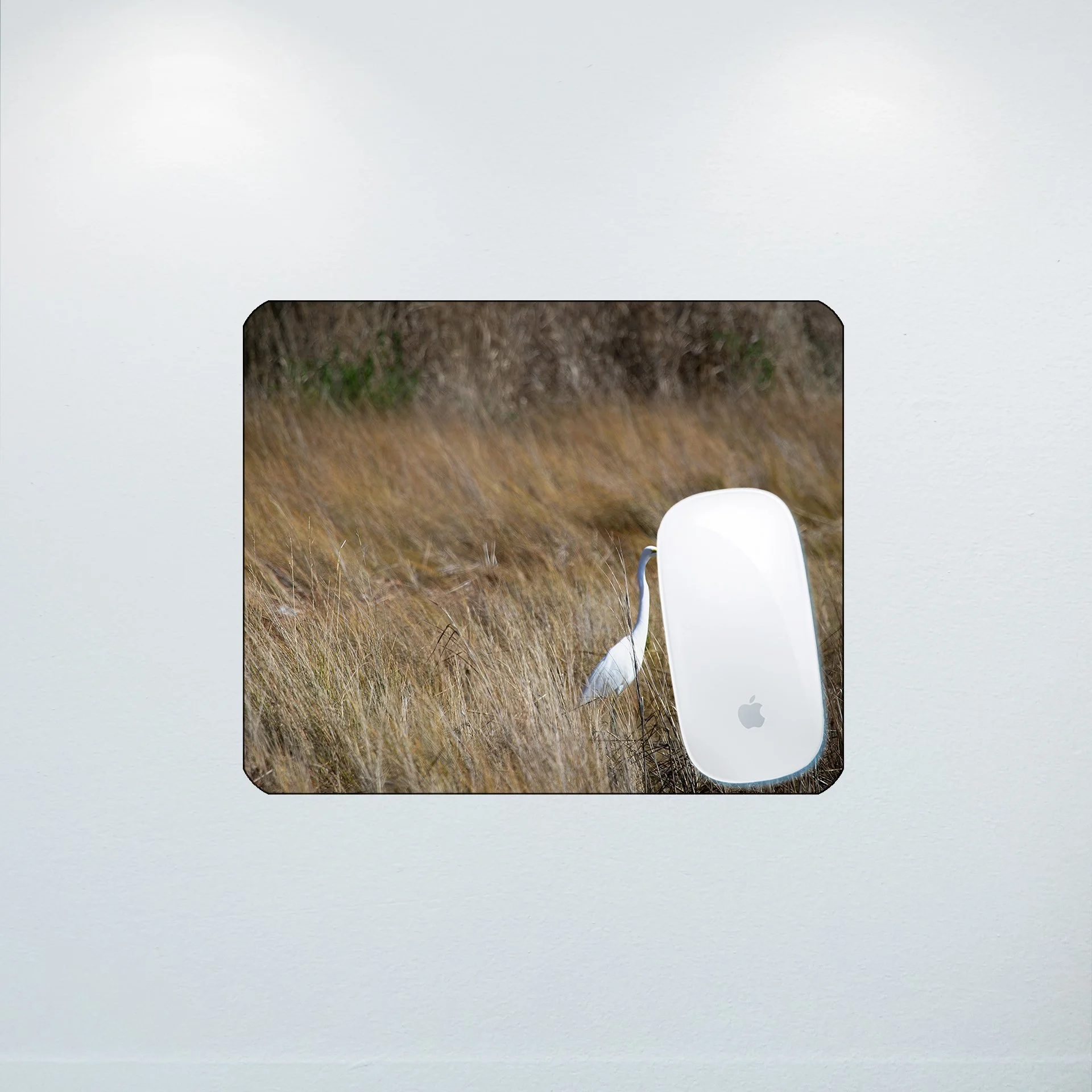 1:10 Sitting Egret- Mouse Pad.jpg
