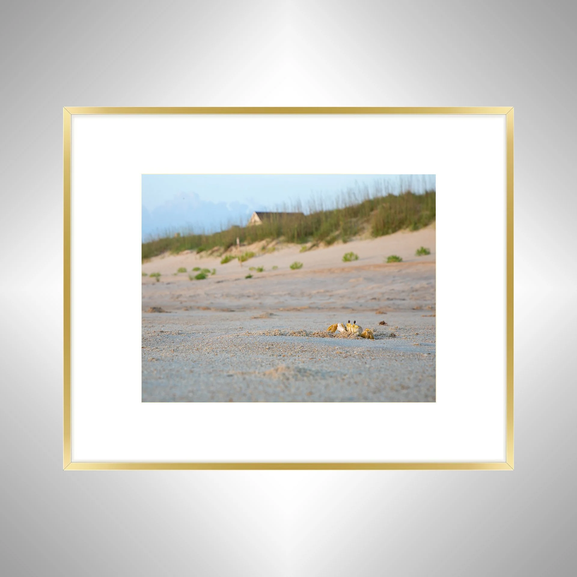 1:10 Ghost Crab Headshot- Gold w: Border.jpg