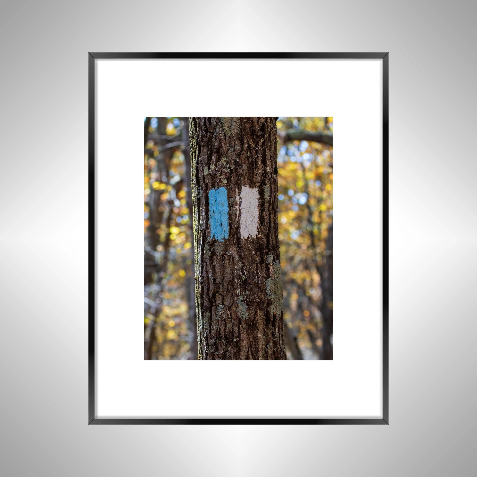 1:1 Appalachian Trail Blaze- Black Metal w: Border.jpg