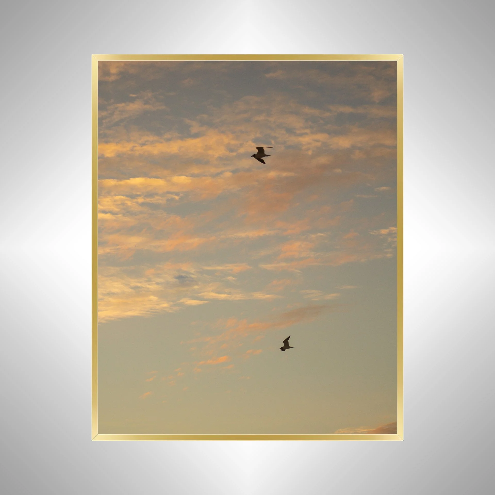 1:10 Love Birds (Seagulls)- Gold.jpg
