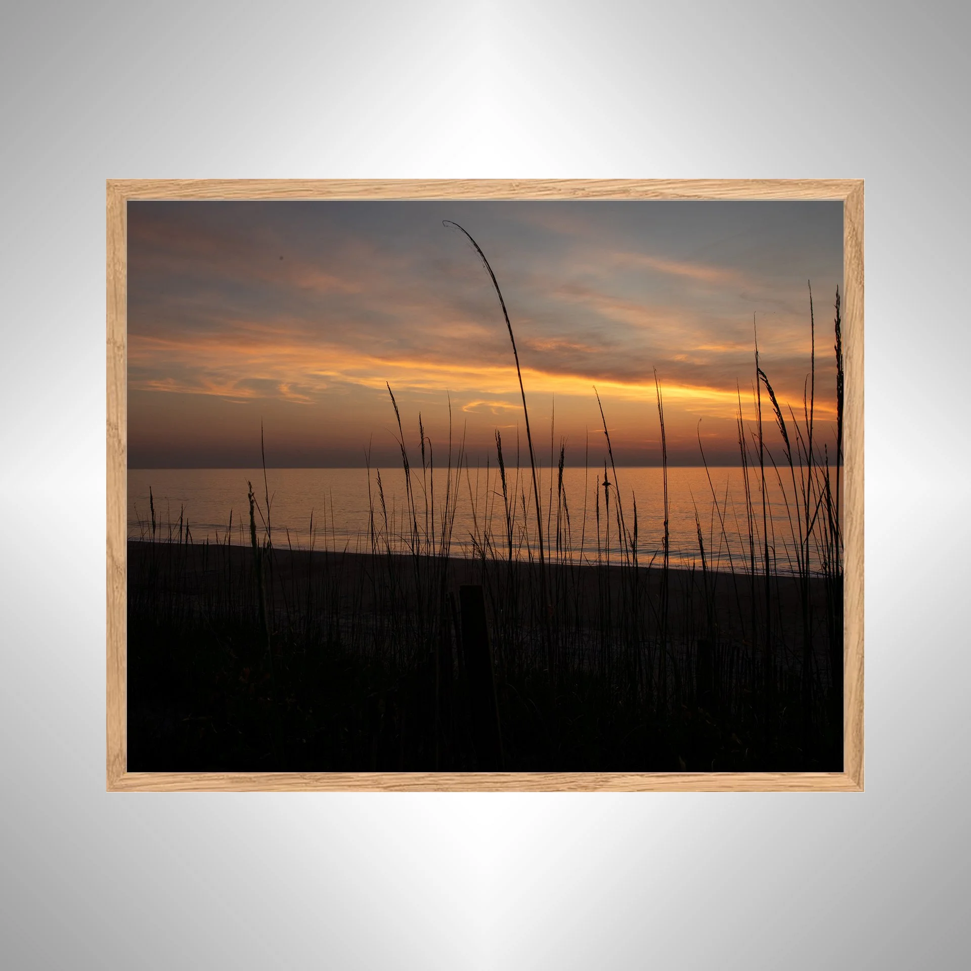 1:1 Sunrise behind Dunegrass- White copy NATTY.jpg