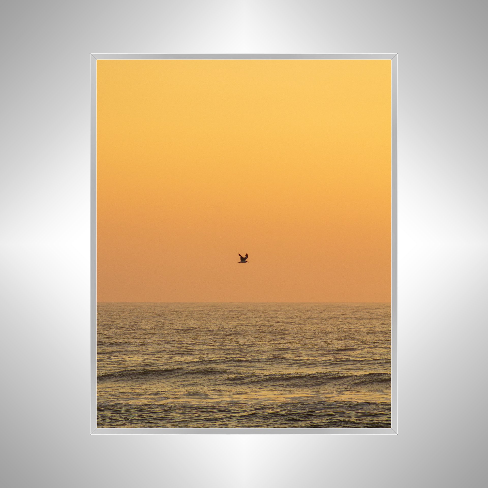 1:10 Sunrise Soaring Seagull-s.jpg