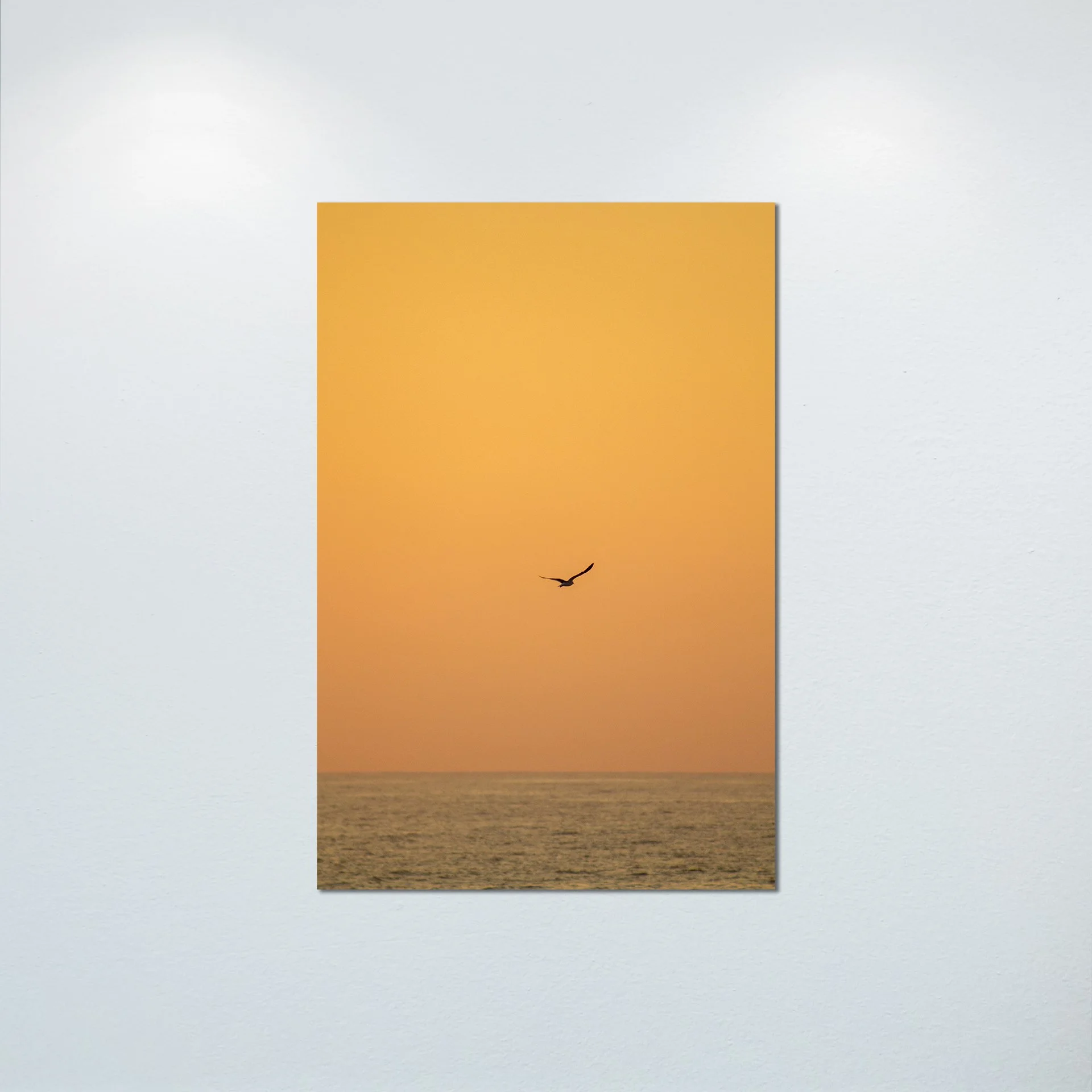 1/10 Seagull Flying on Ocean