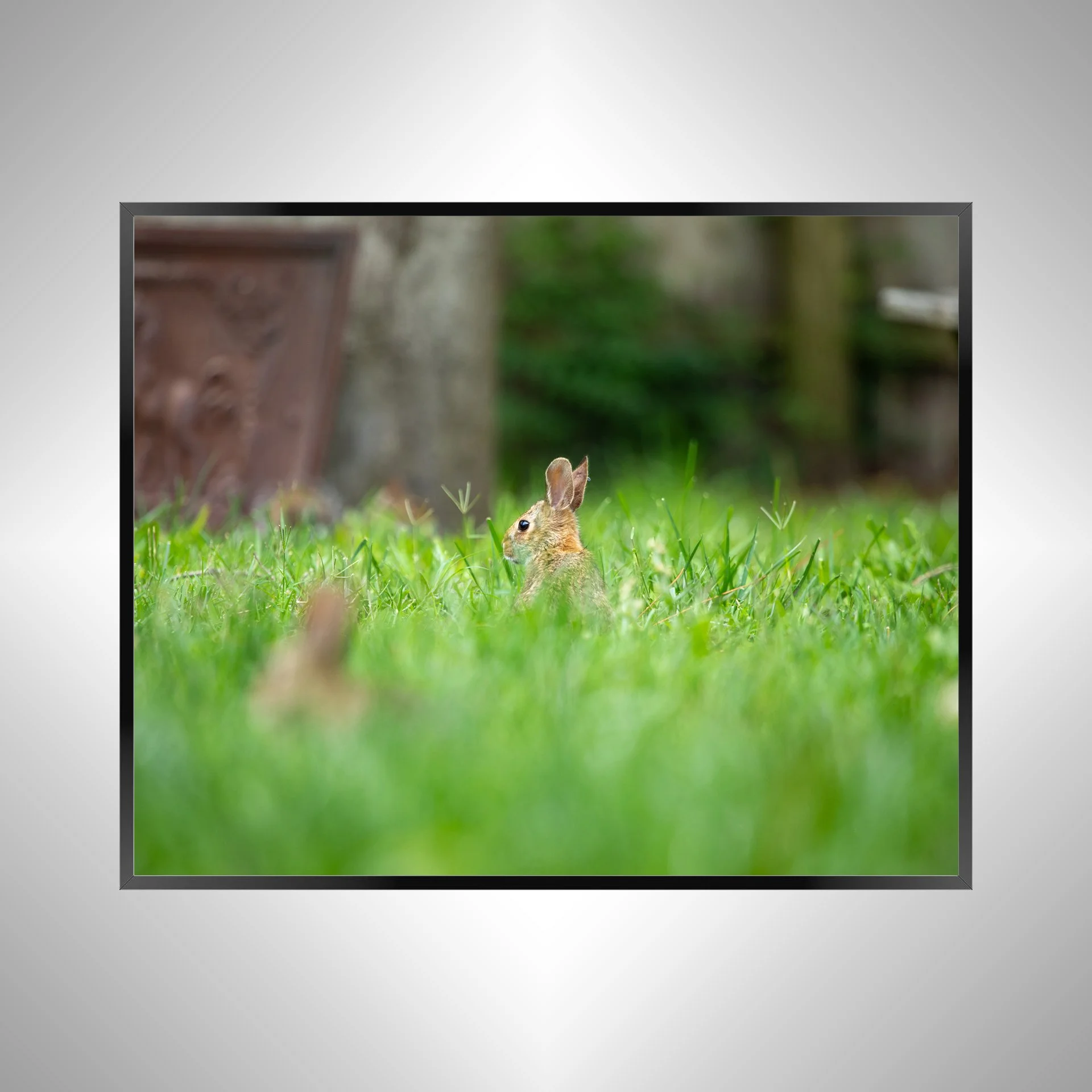 1/1 Standing Bunny