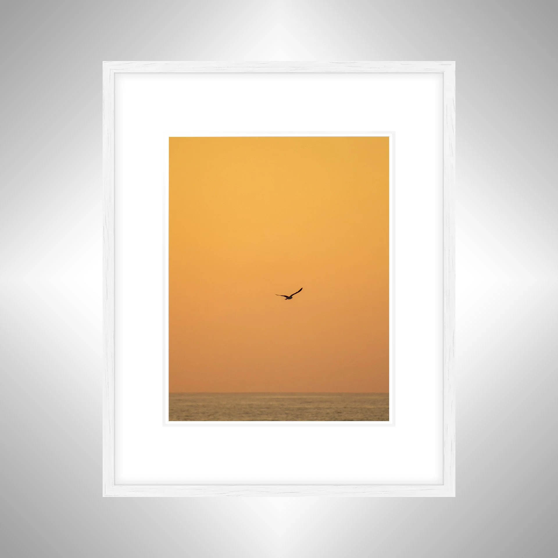 1:10 Seagull Flying on Ocean- White w: Border.jpg