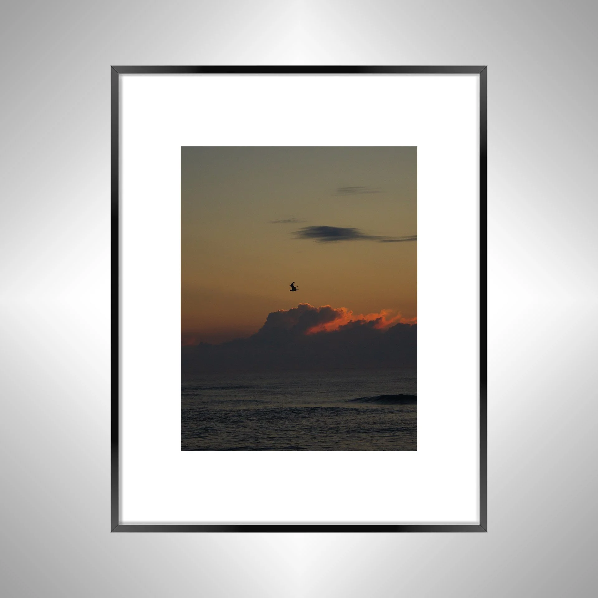 1:1 Cloudy Sunrise Soaring Seagull- Black Metal w: Border.jpg