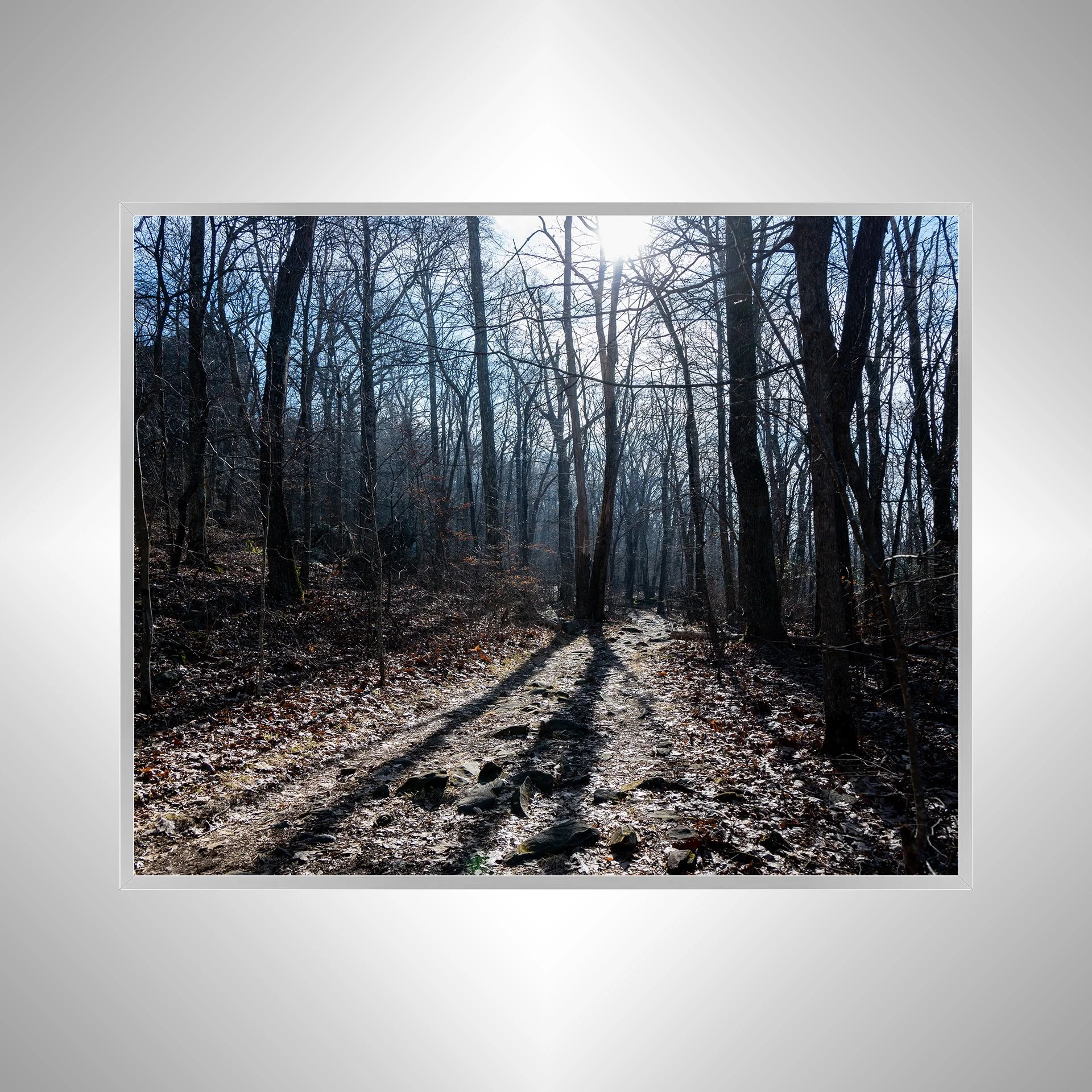 1:10 Shenandoah National Park Trail s.jpg